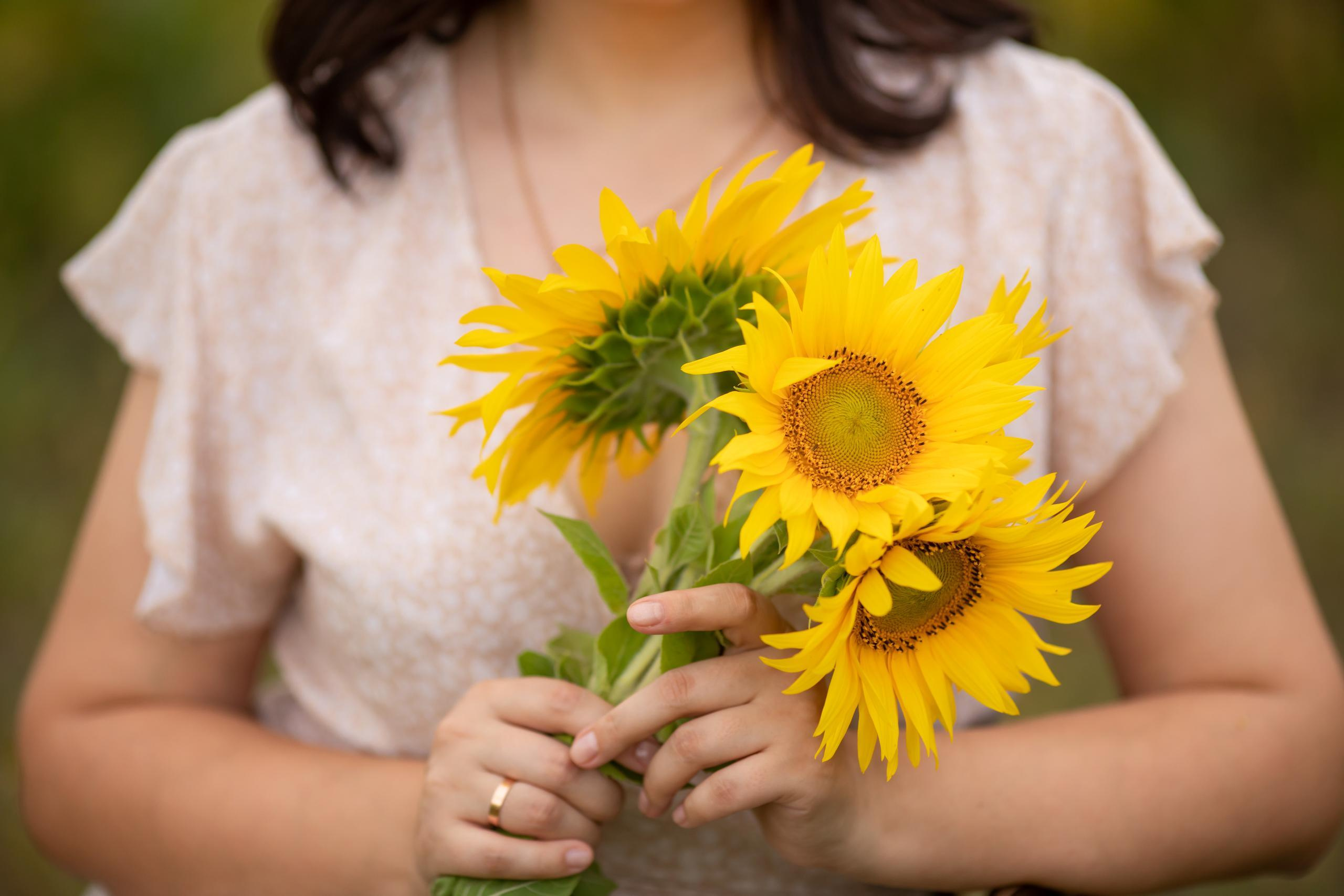 Подсолнухи. Olga.filippova.photo