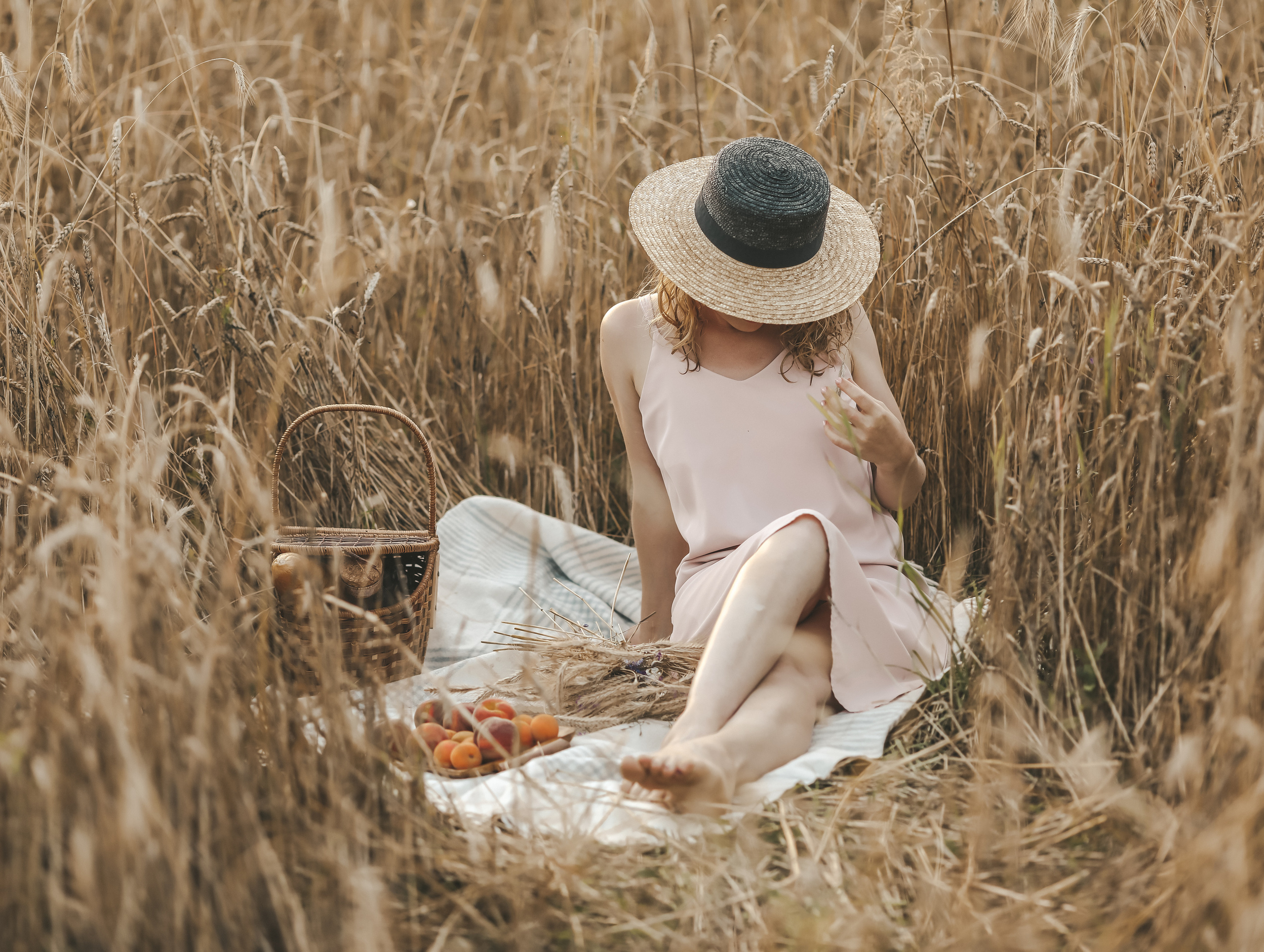 Пшеничные поля. Olga.filippova.photo