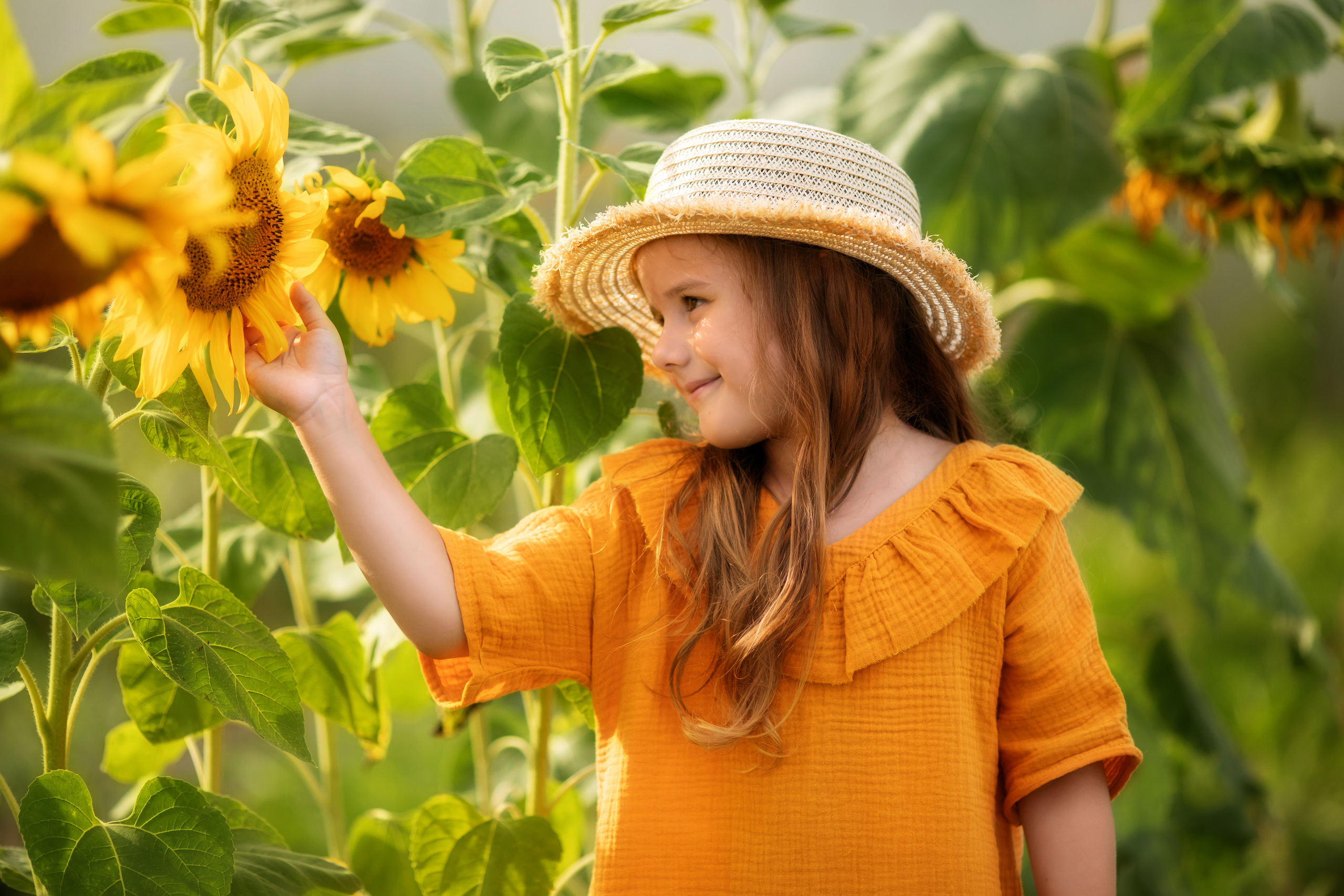 Подсолнухи. Olga.filippova.photo