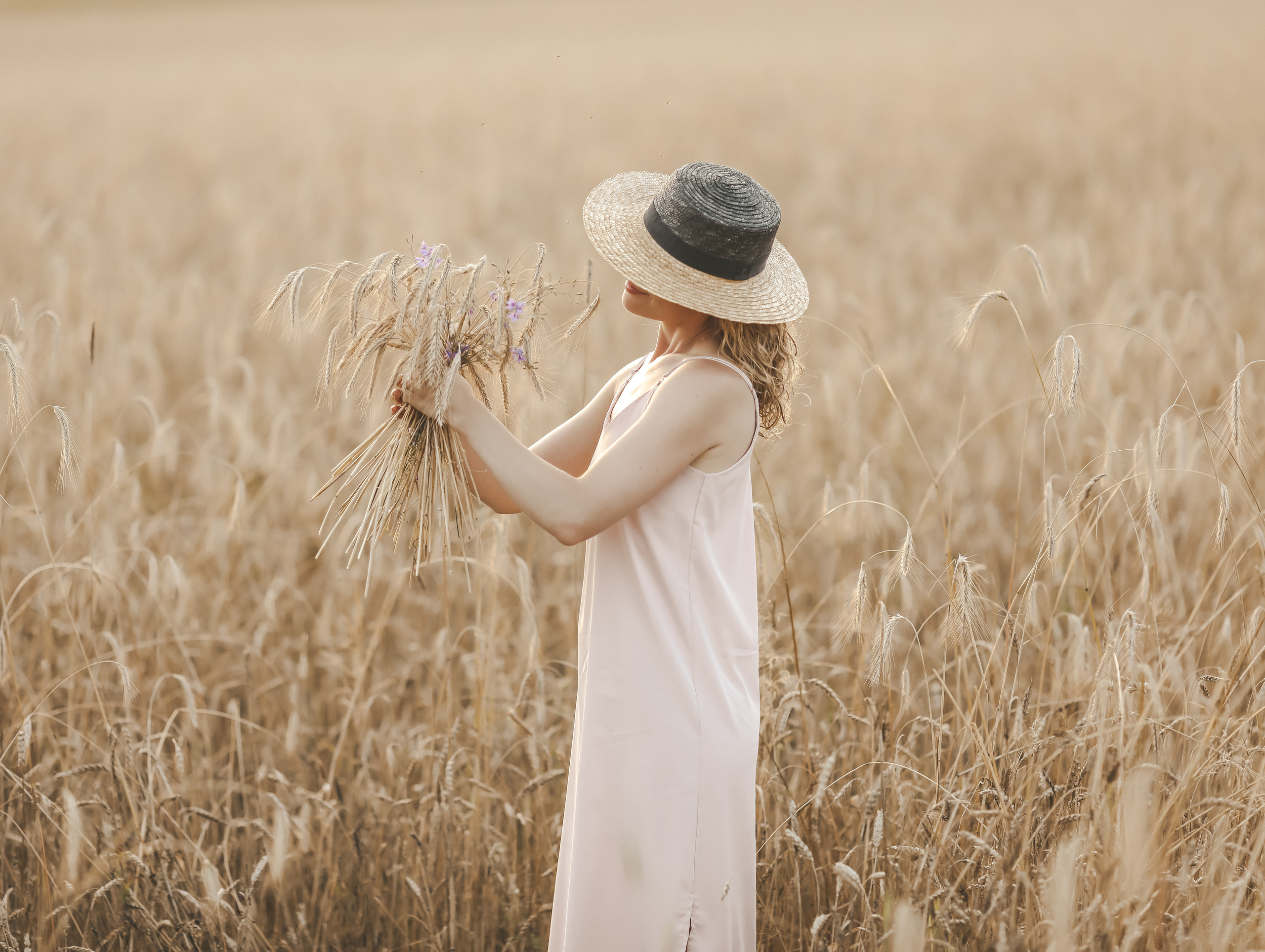 Пшеничные поля. Olga.filippova.photo