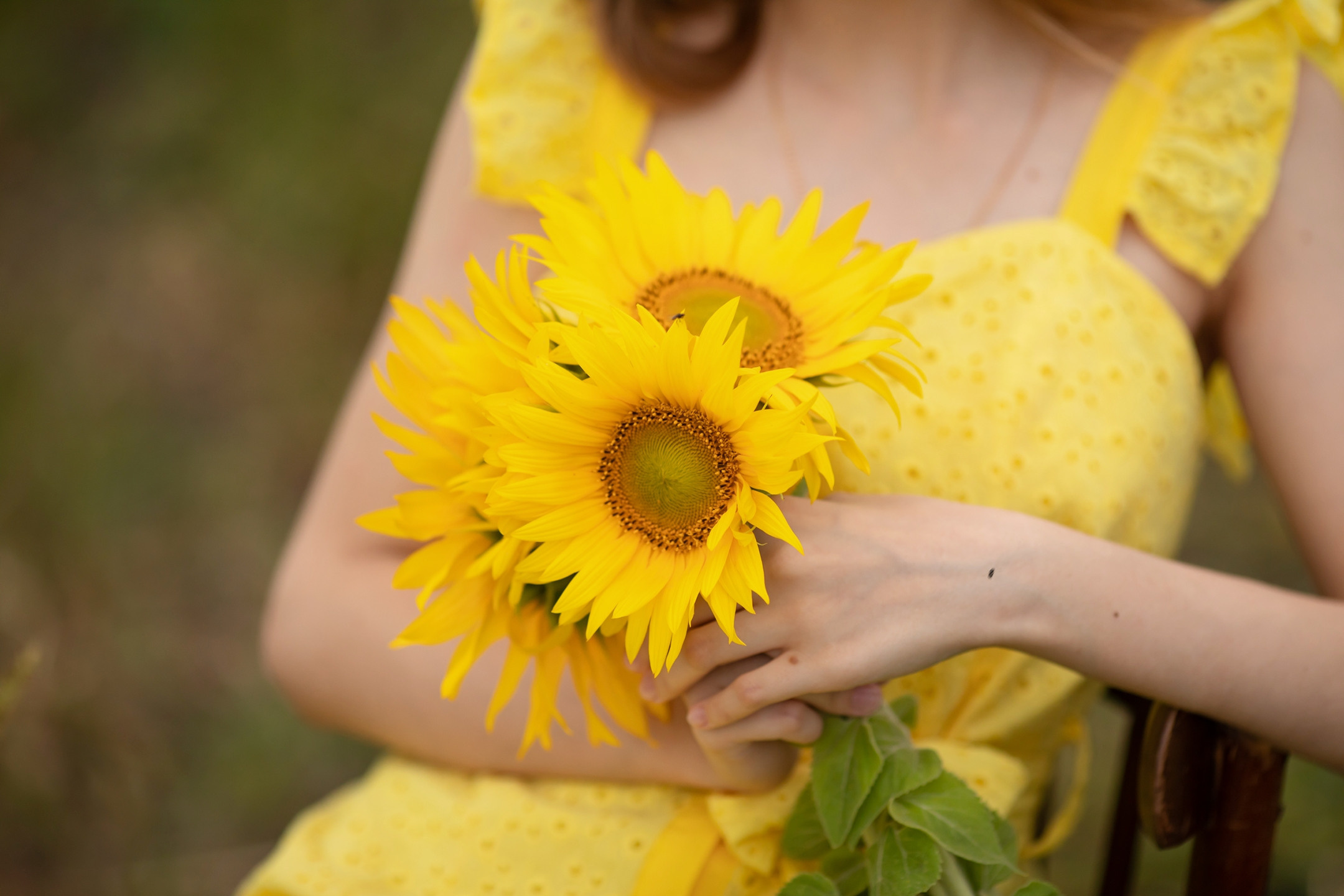 Подсолнухи. Olga.filippova.photo