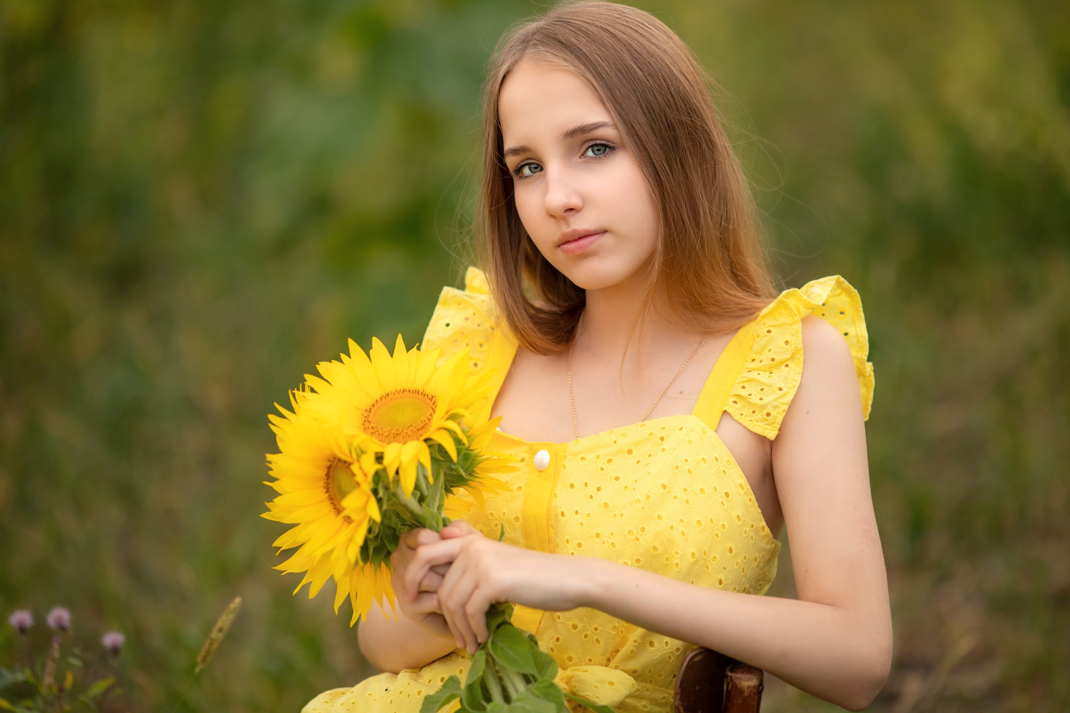 Подсолнухи. Olga.filippova.photo