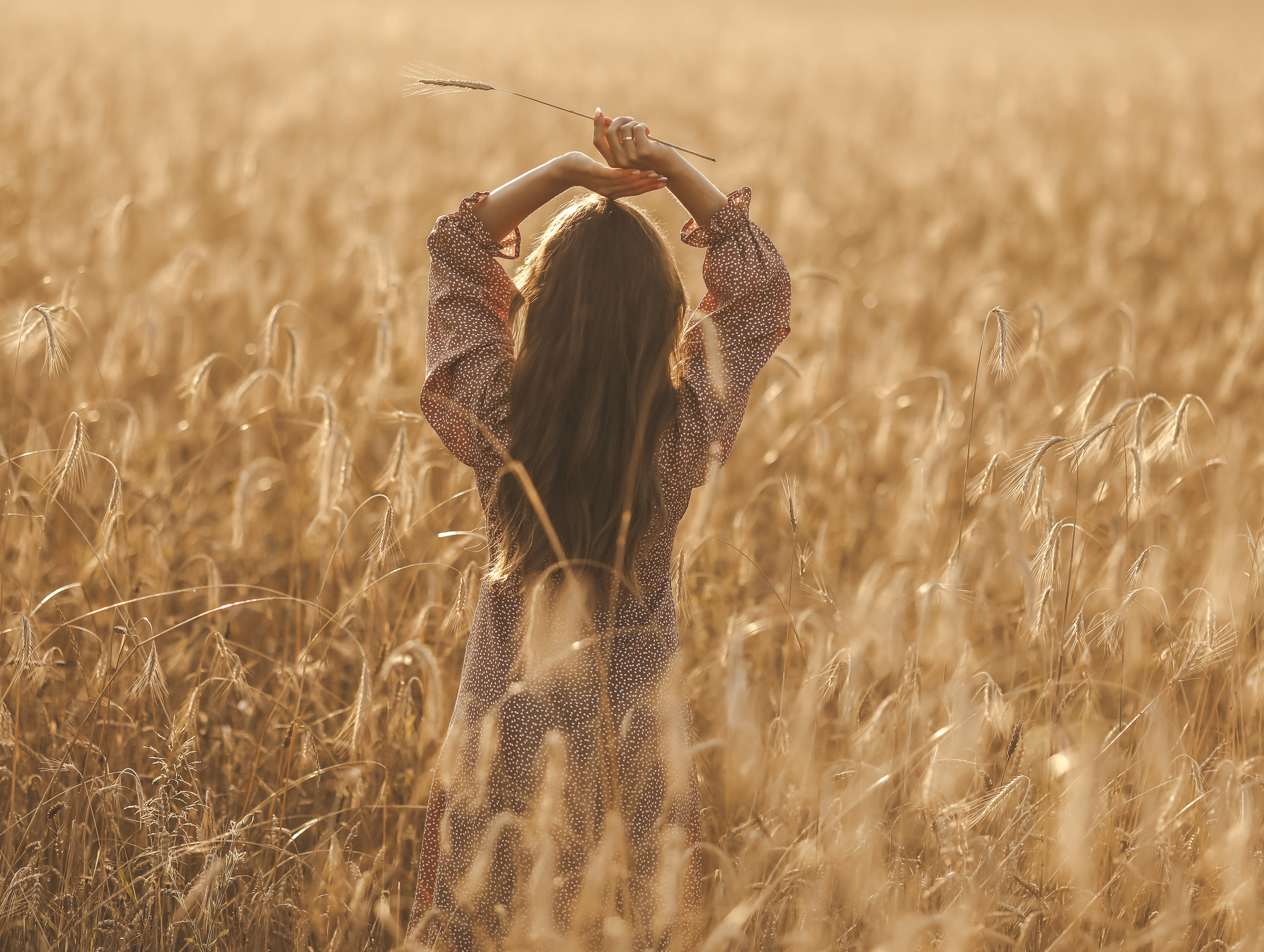 Колосья. Olga.filippova.photo