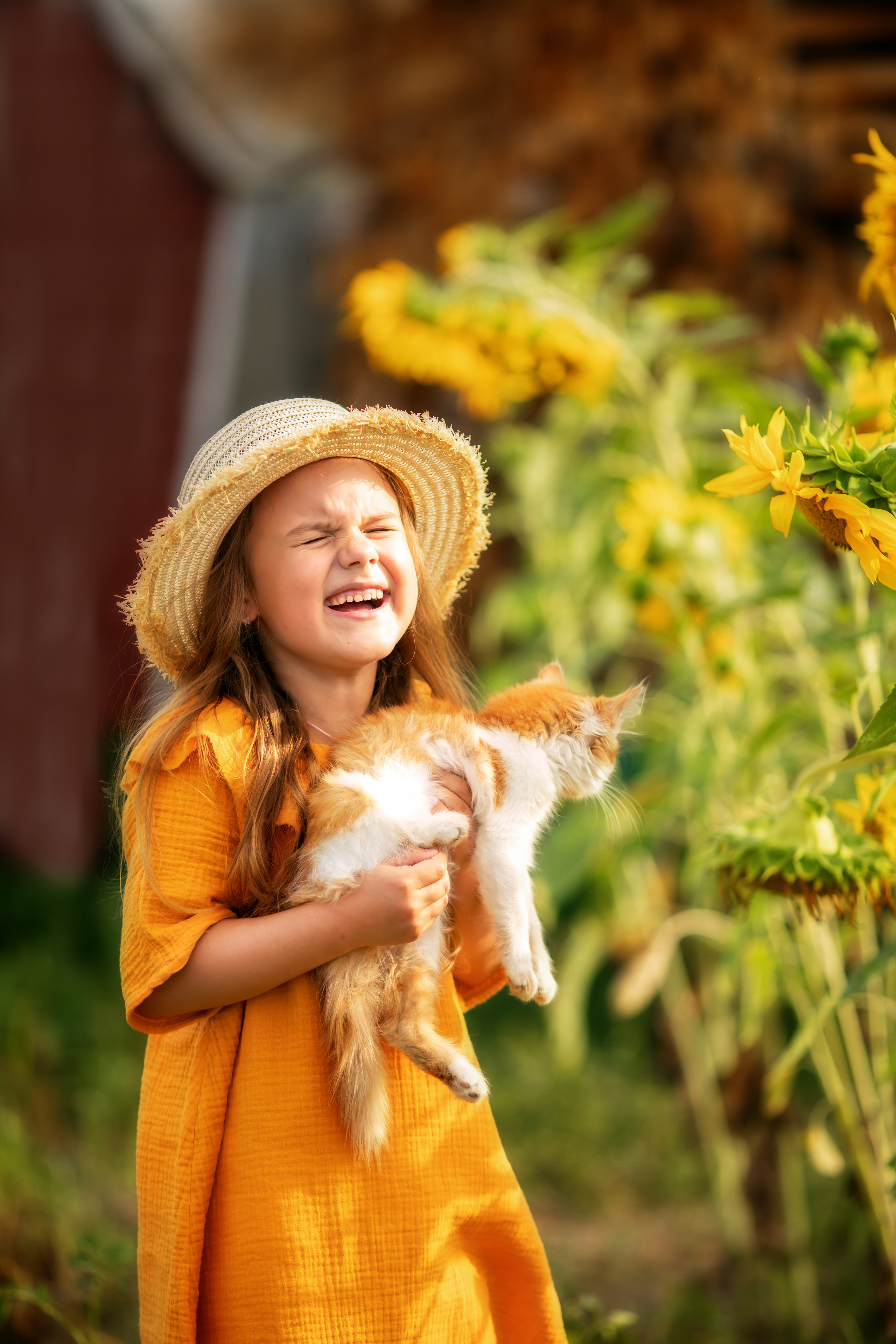 Подсолнухи. Olga.filippova.photo