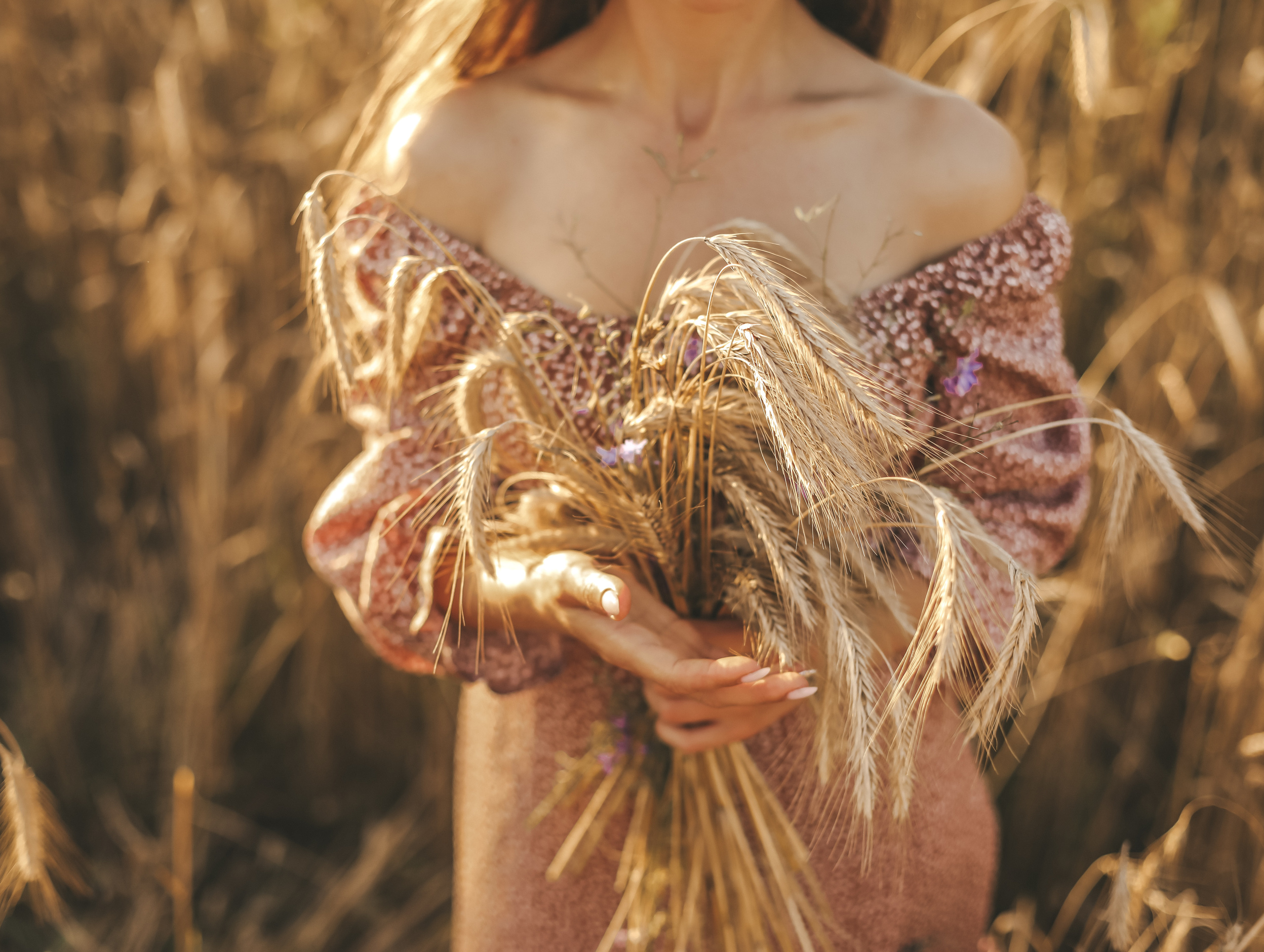 Колосья. Olga.filippova.photo