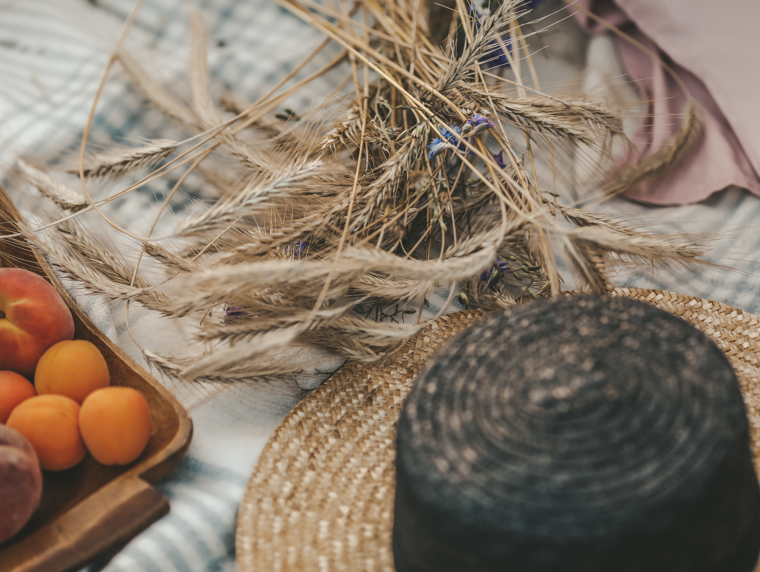 Пшеничные поля. Olga.filippova.photo