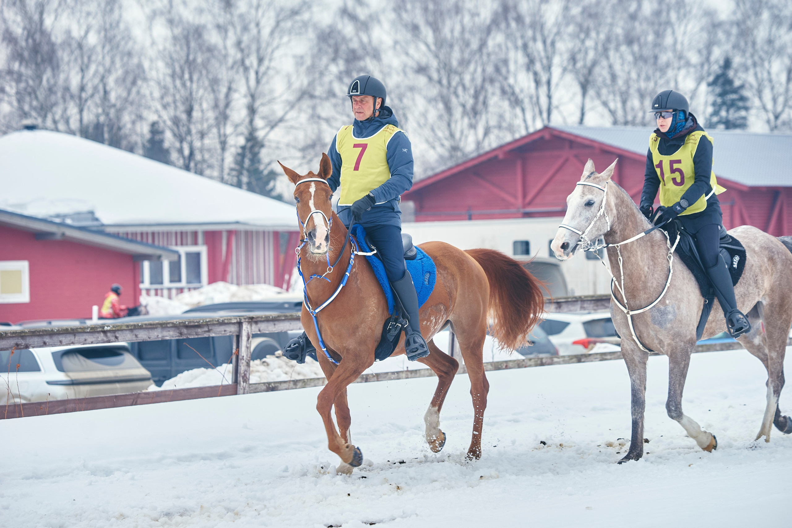 HORSE RACING. Фотограф Наталья Леонова