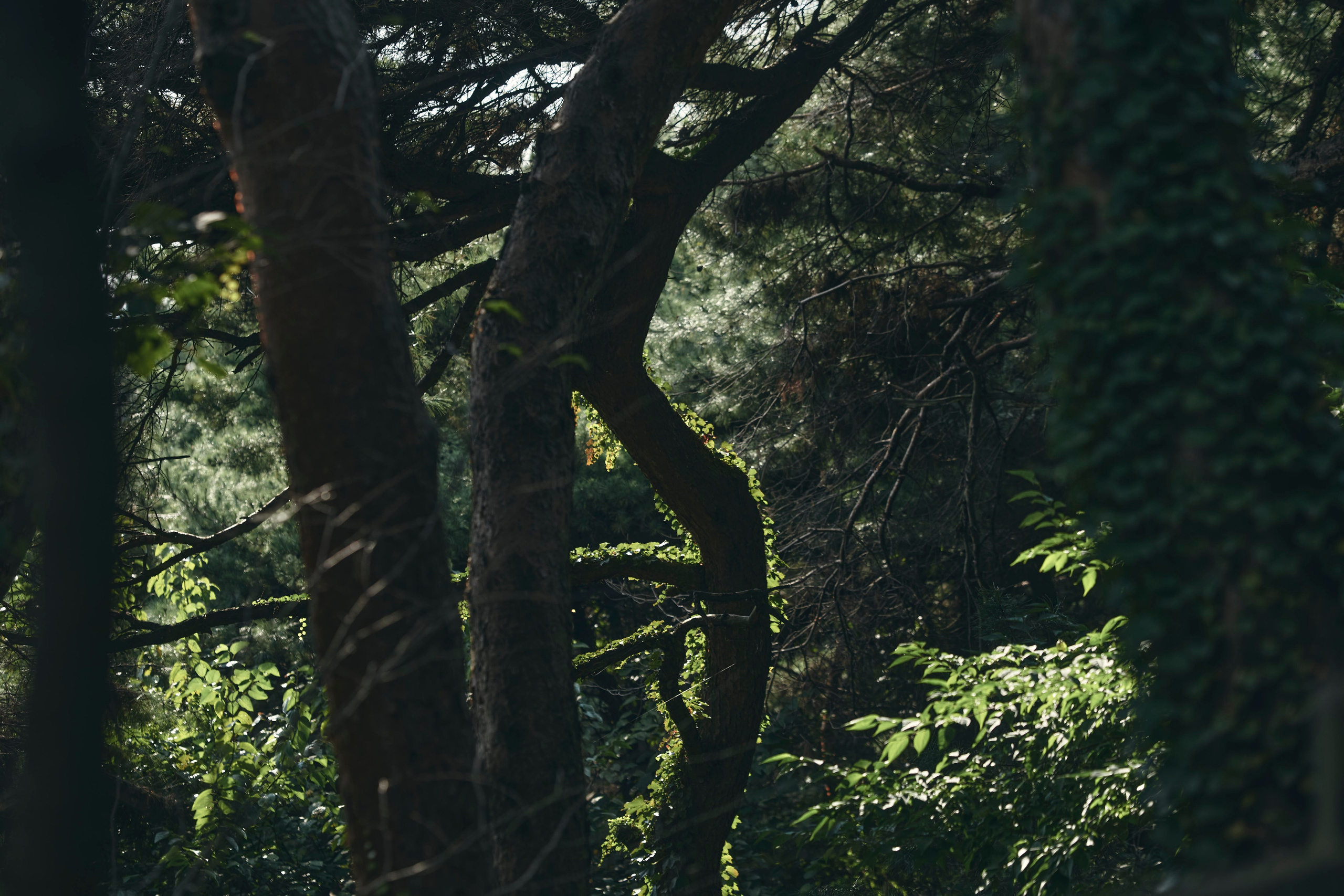 TRAVEL. Фотограф Наталья Леонова