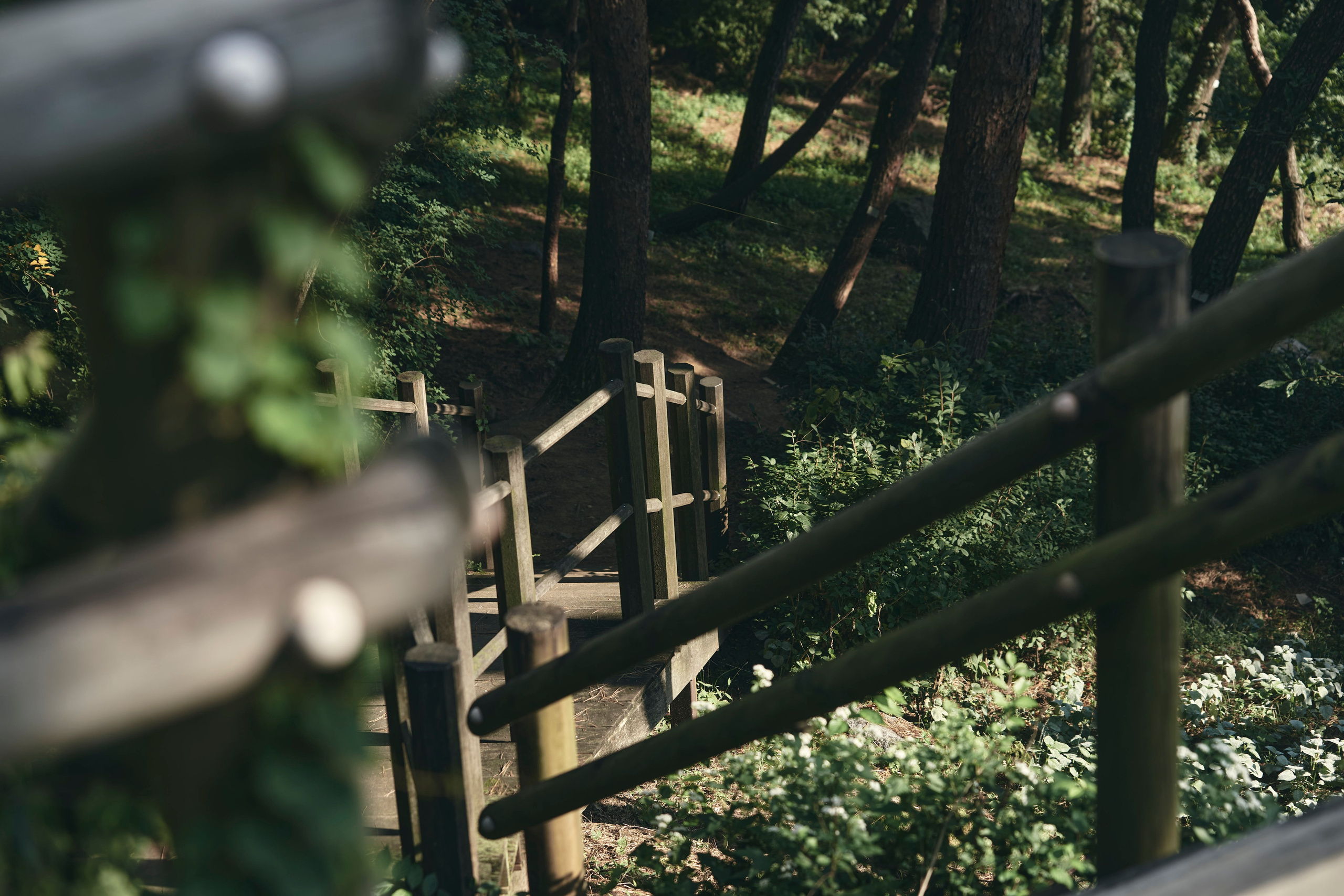 TRAVEL. Фотограф Наталья Леонова