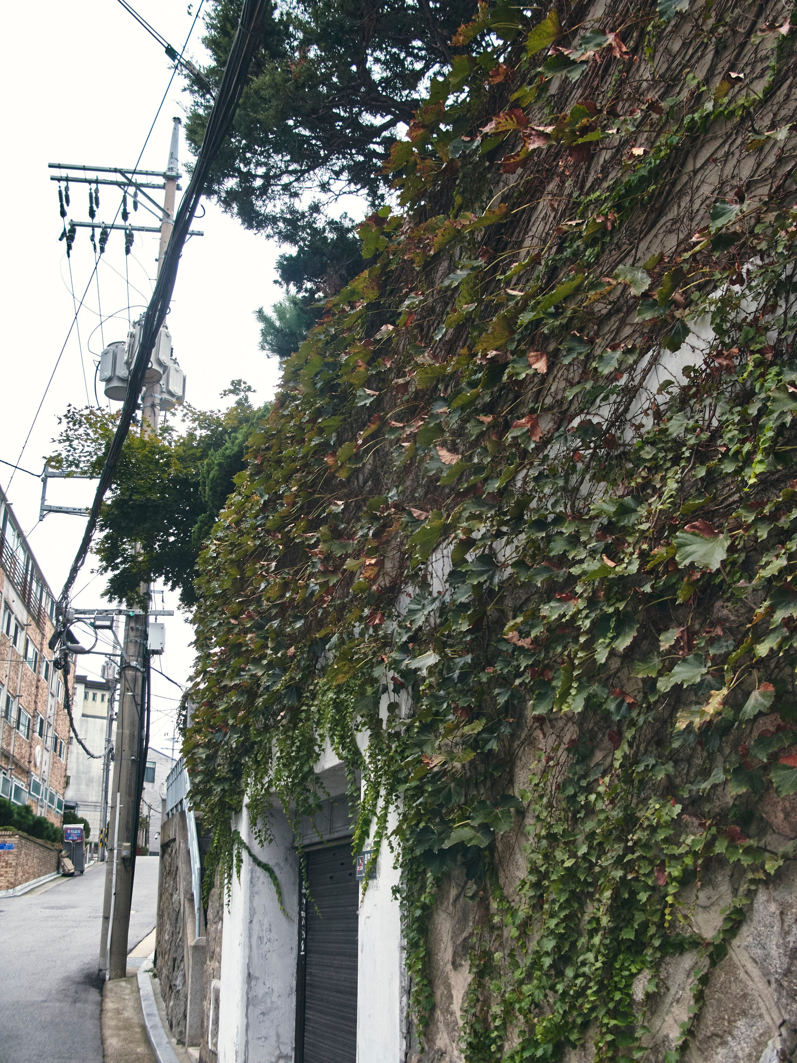 TRAVEL. Фотограф Наталья Леонова