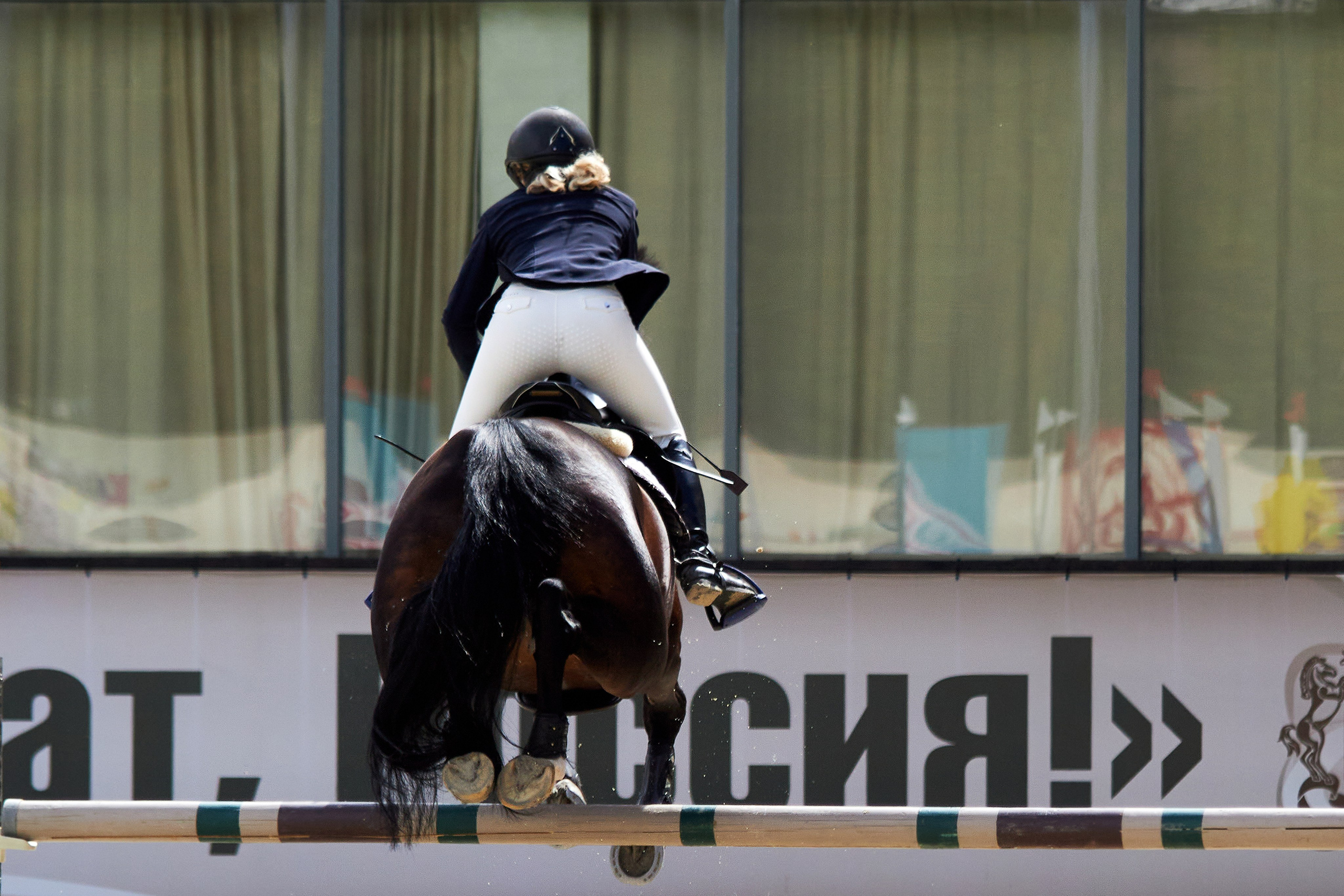 Конкур в «Виват, Россия». Фотограф анималист — Тула, Москва