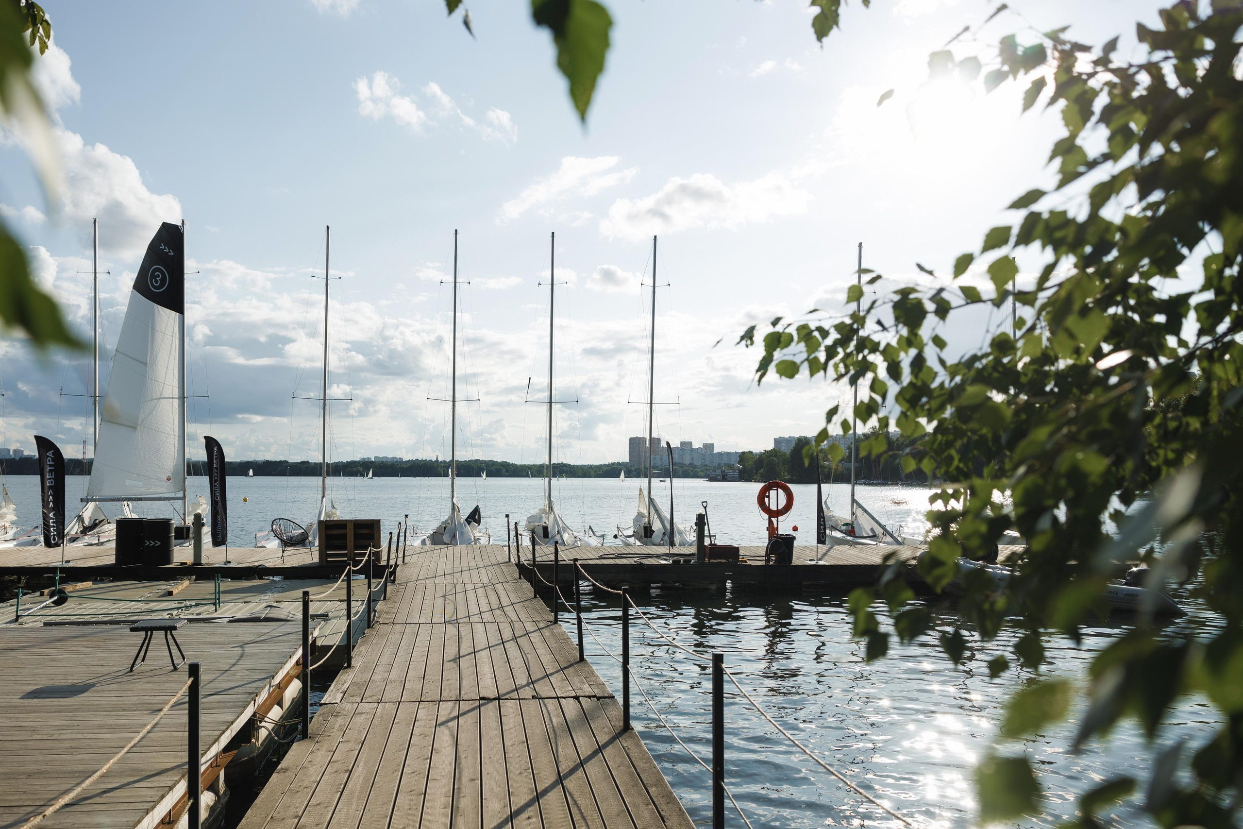 Skillbox. Feelmedia production