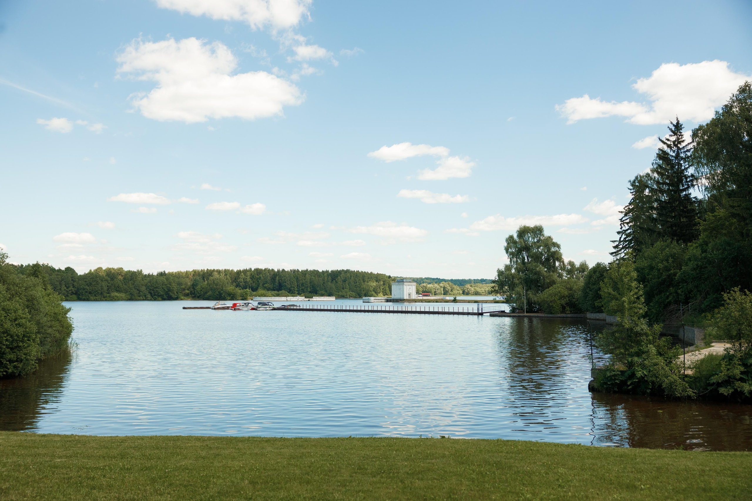 SALYM. Feelmedia production