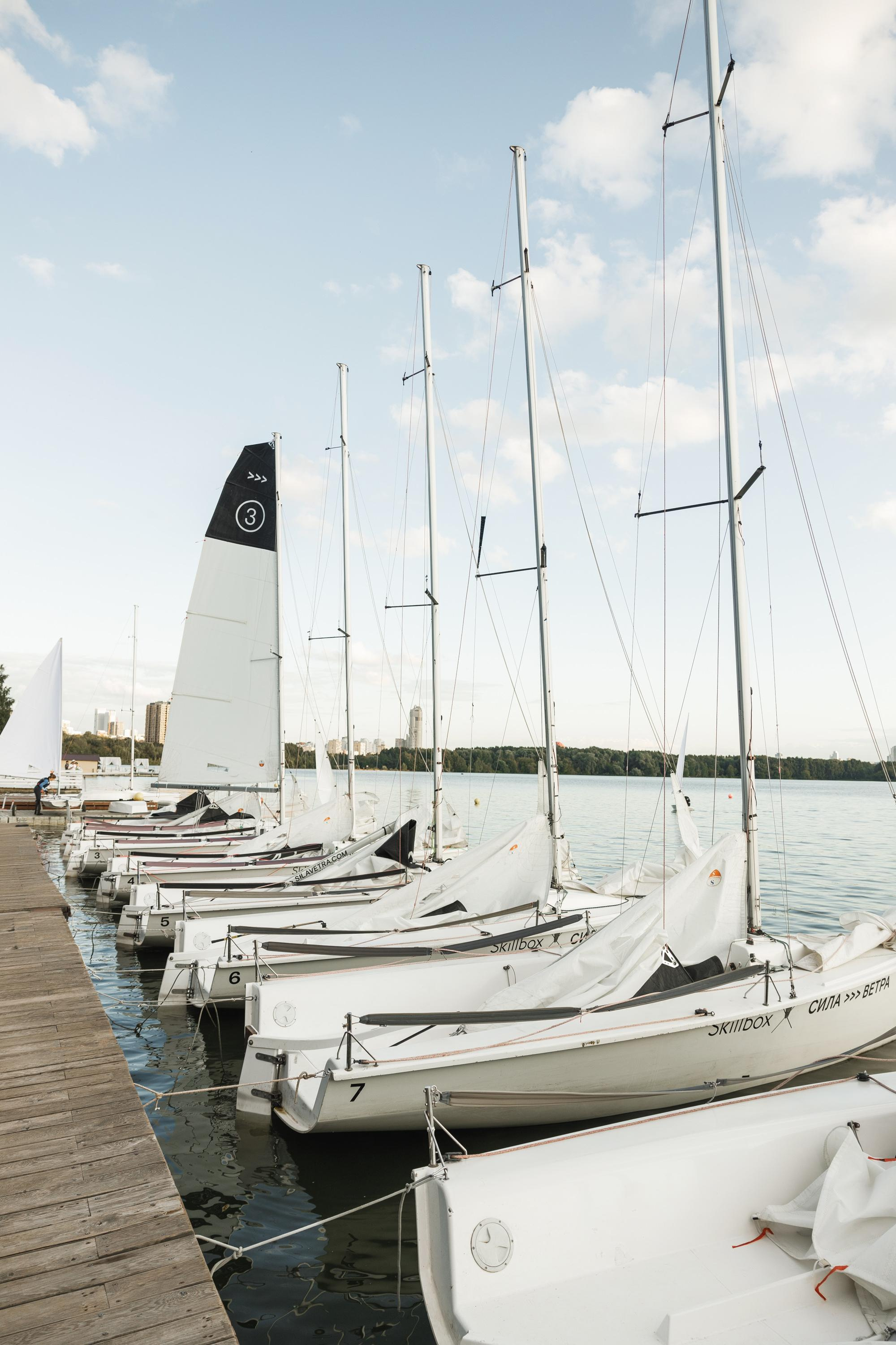 Skillbox. Feelmedia production