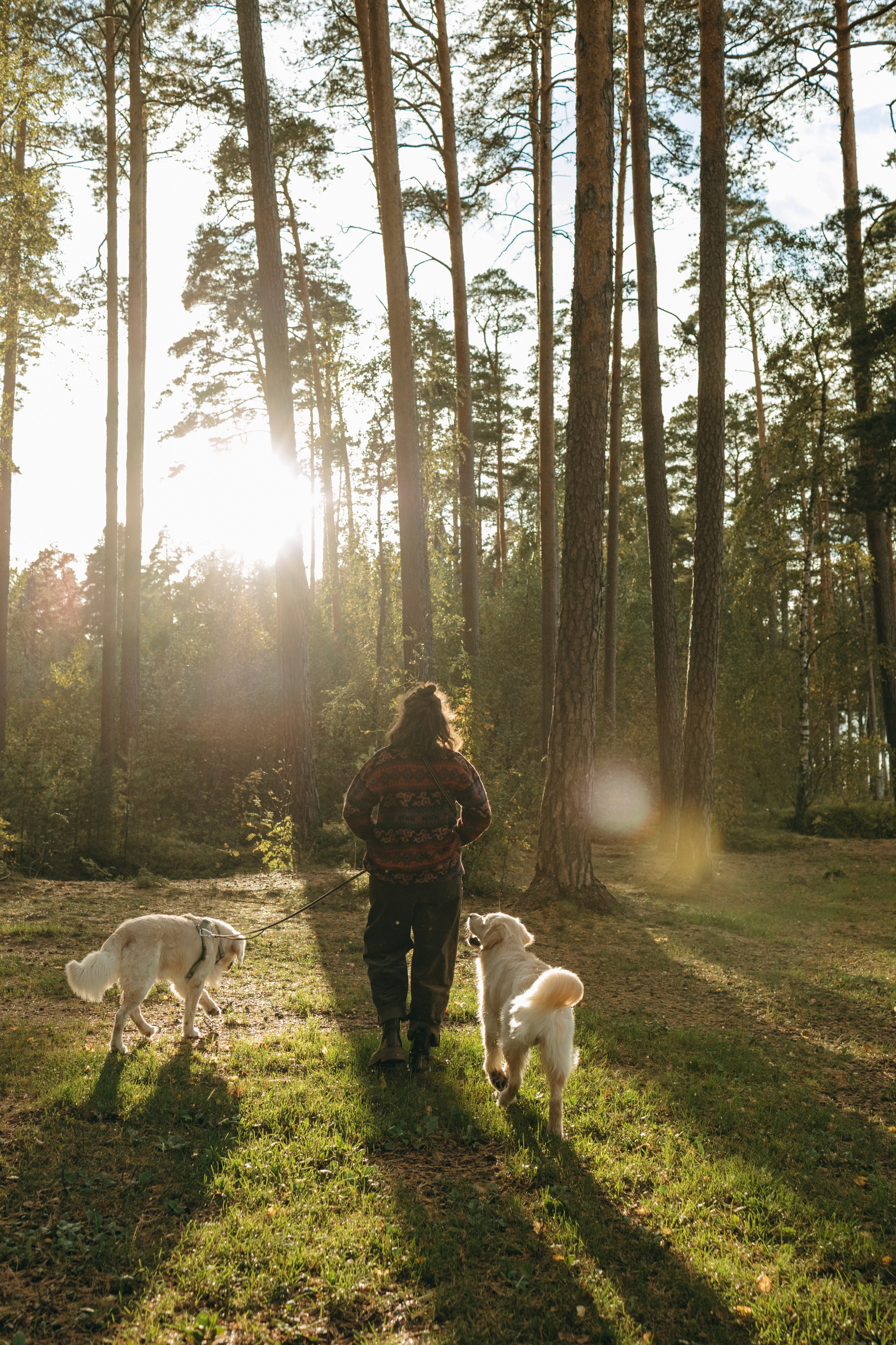 Прогулка Насти с Арчи и Арагоном. Фотограф-анималист в Санкт-Петеребурге Титова Алиса