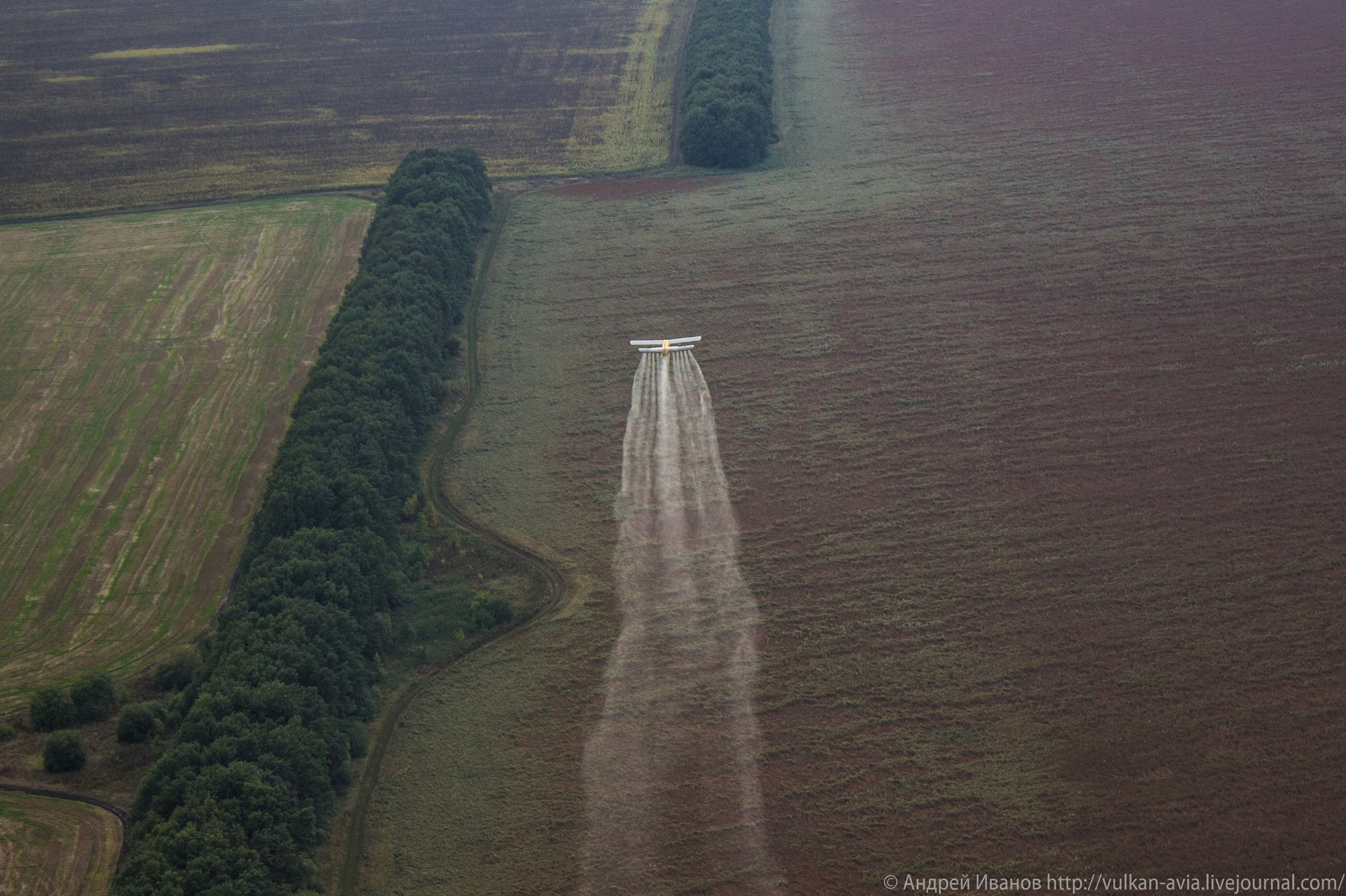 Волгодонск аэр. Потапов слёт «Небо для всех» (2021 г.). Фотоальбом показывающий увлекательный мир авиации и мир медведей Андрея Иванова