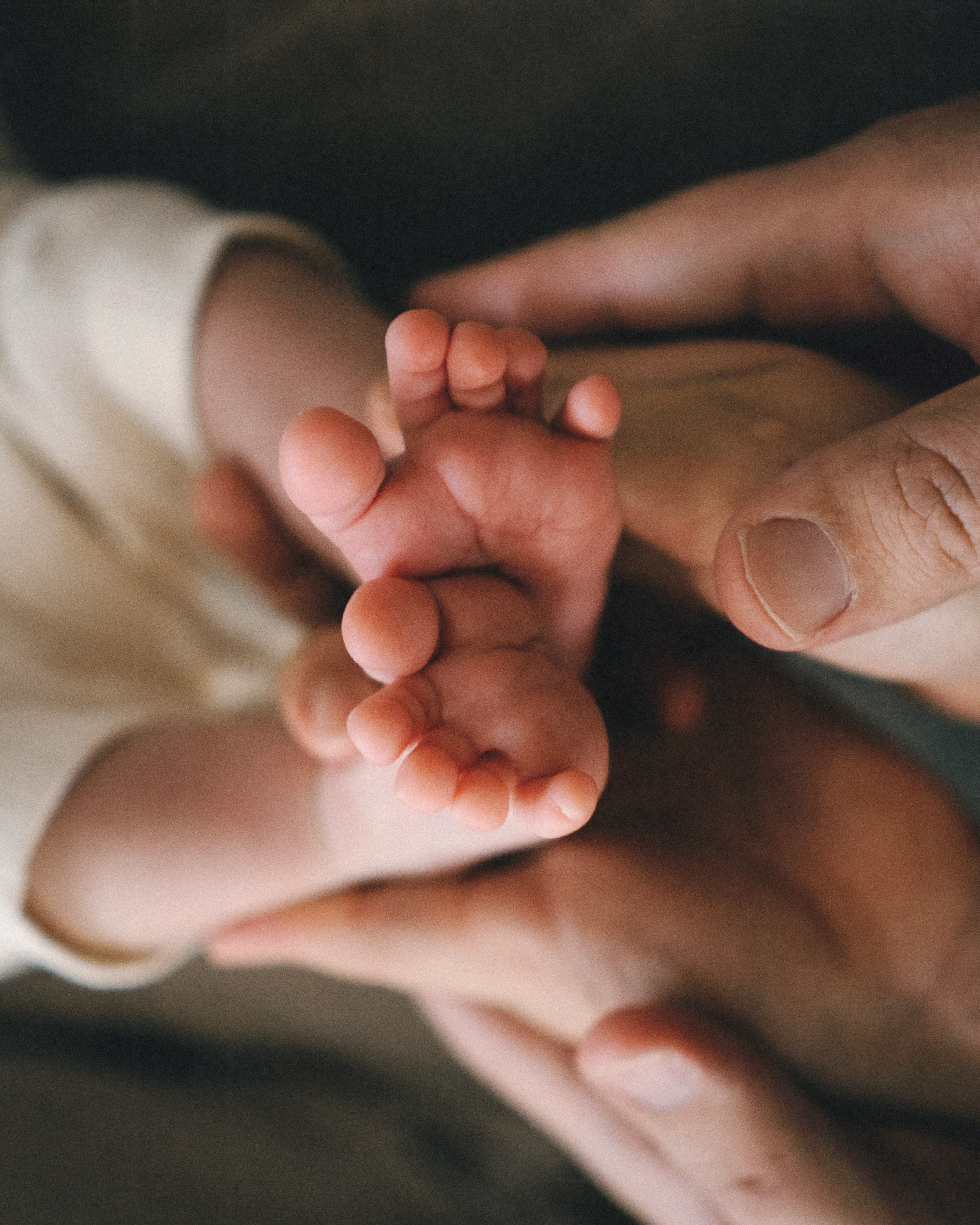 Ванечка. SHILOVA PHOTO. Шилова Екатерина. Фотограф. Москва