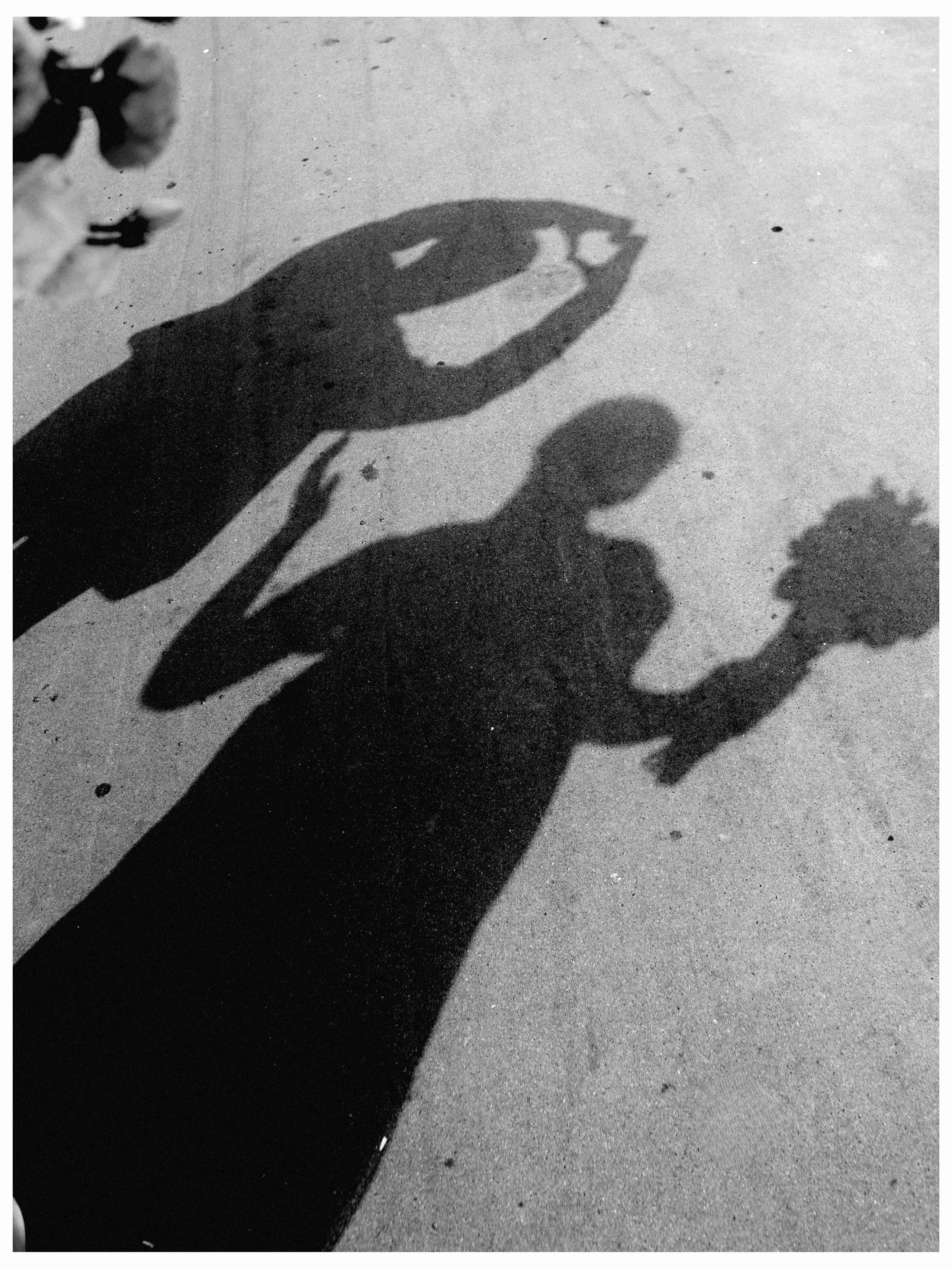 Yulya+Roma. SHILOVA PHOTO. Шилова Екатерина. Фотограф. Москва