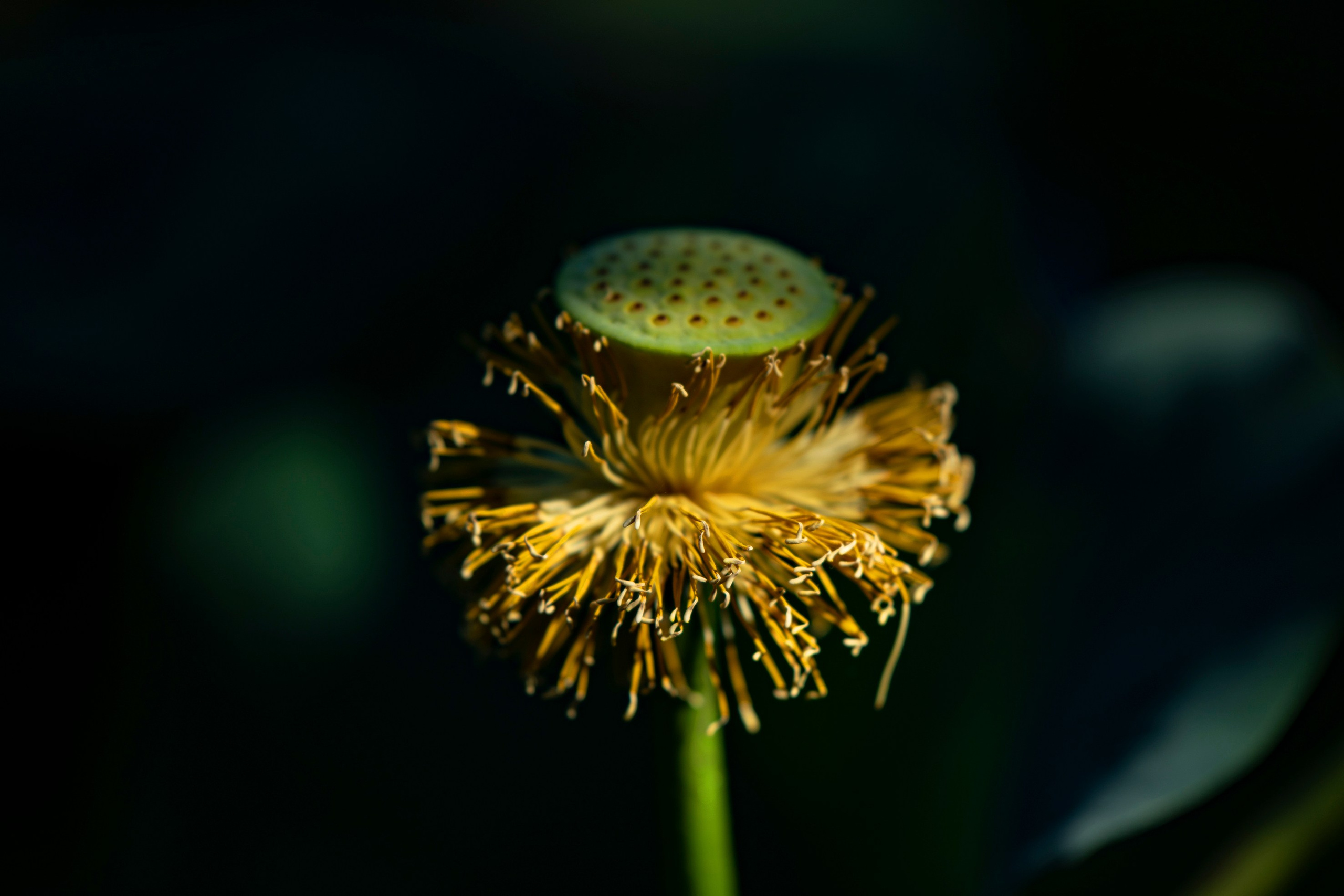 Природа Хабаровского края. Команда фотографов Кристины Ивановой