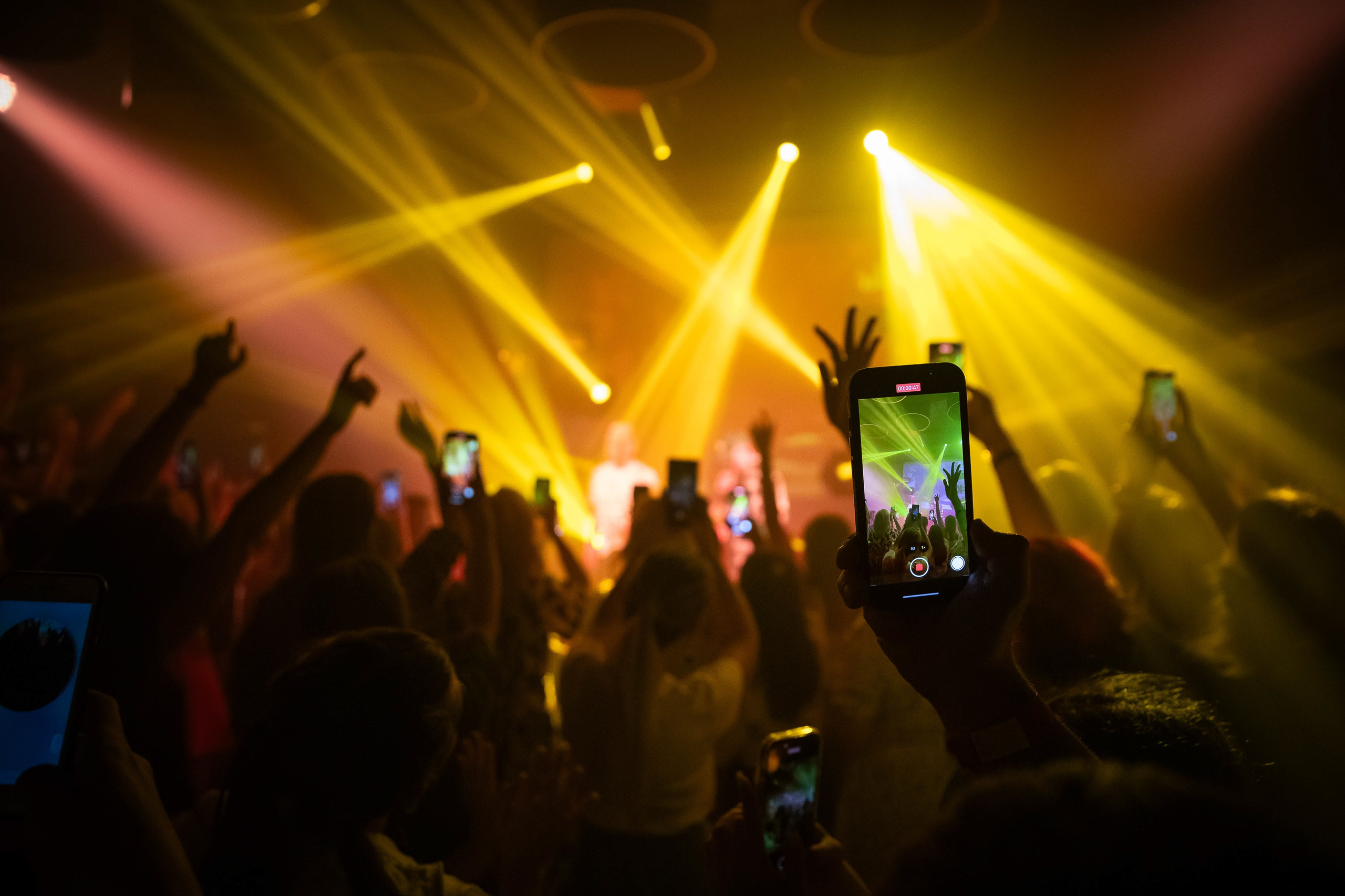 Отпетые мошенники в Mouse House. NesterovaMaria.ru