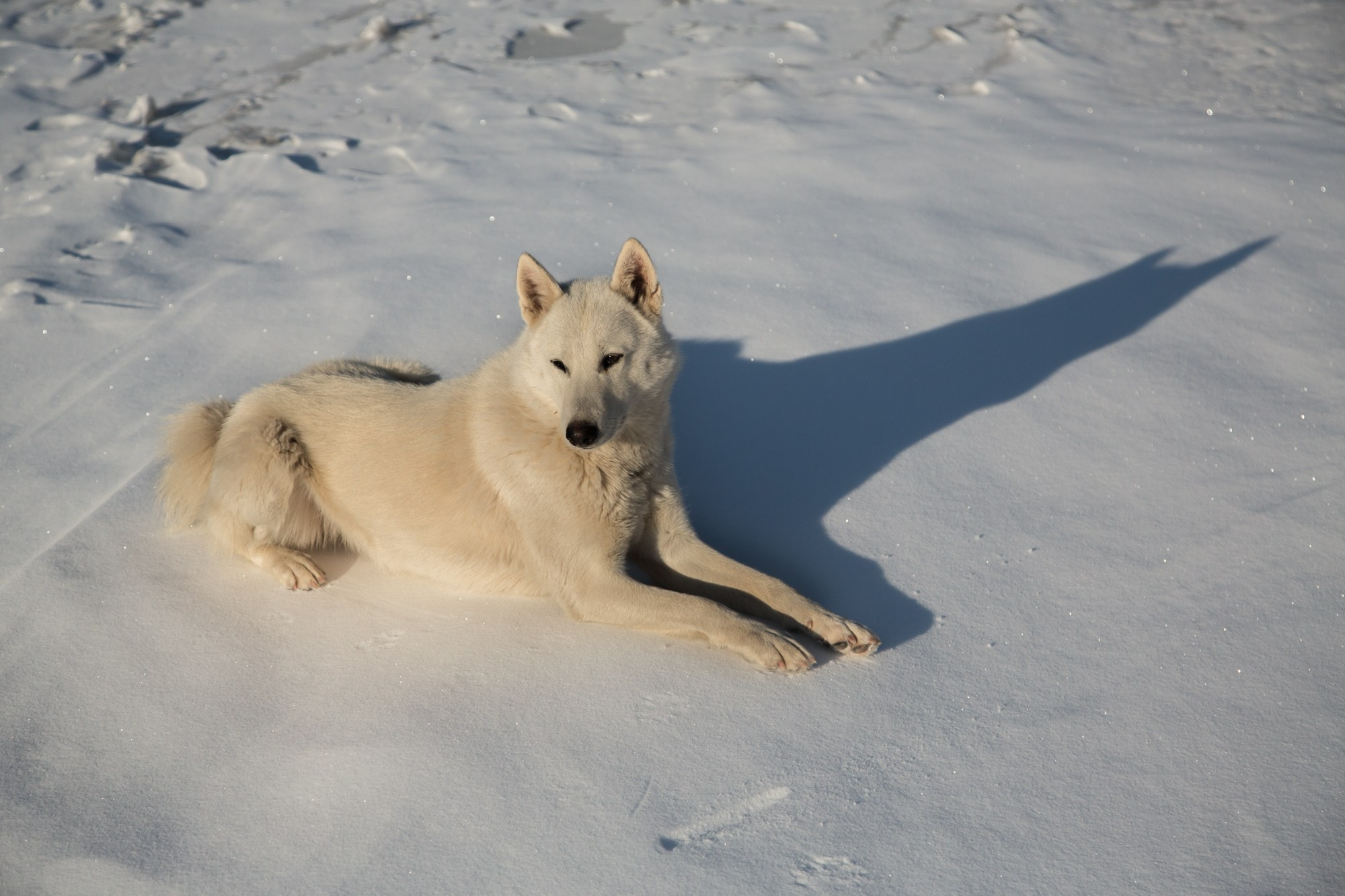 Якутия. Фотограф Алексей Скоробогатько
