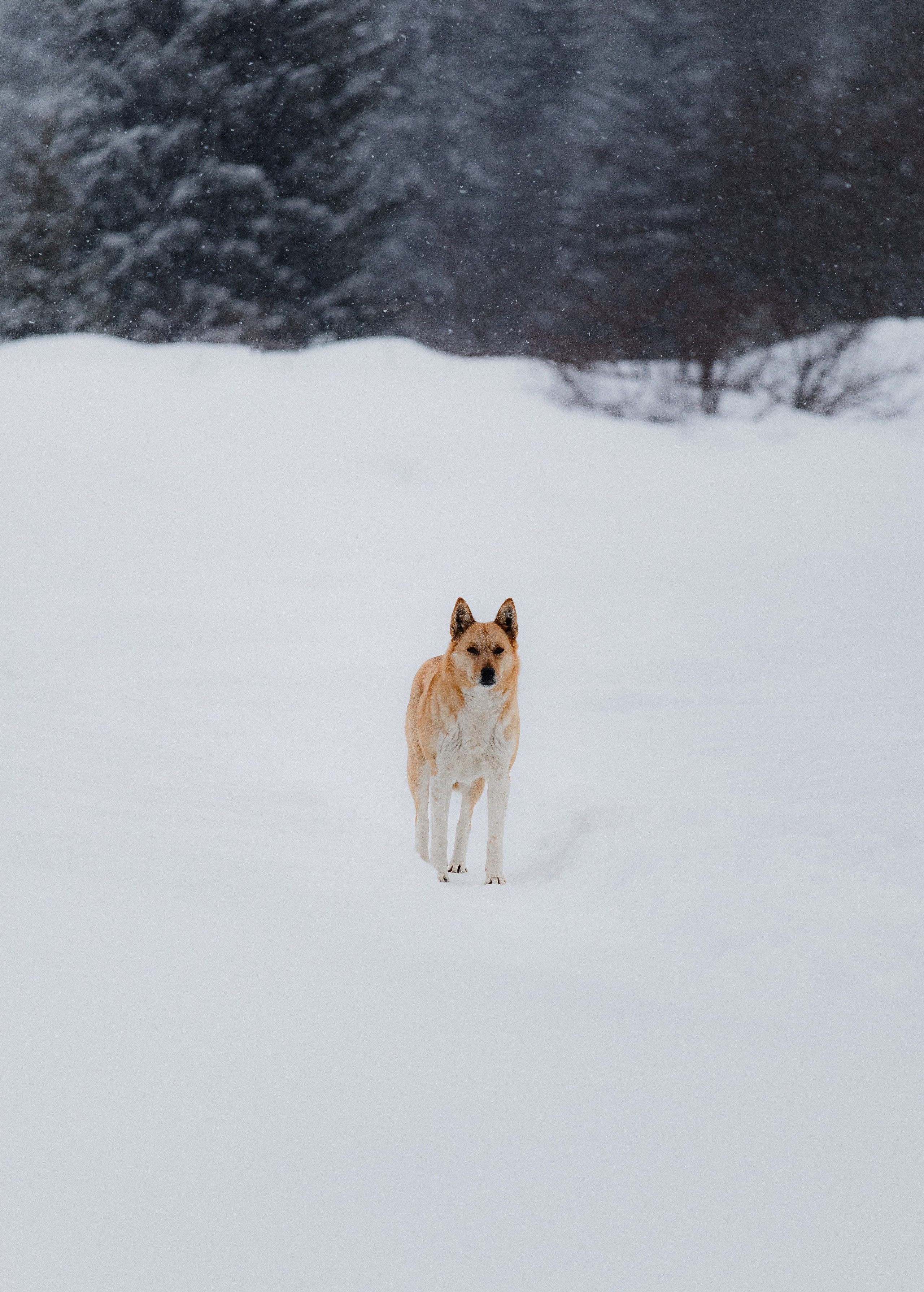 Жизнь. Фотограф Алматы | Весь мир — Никита Колодин