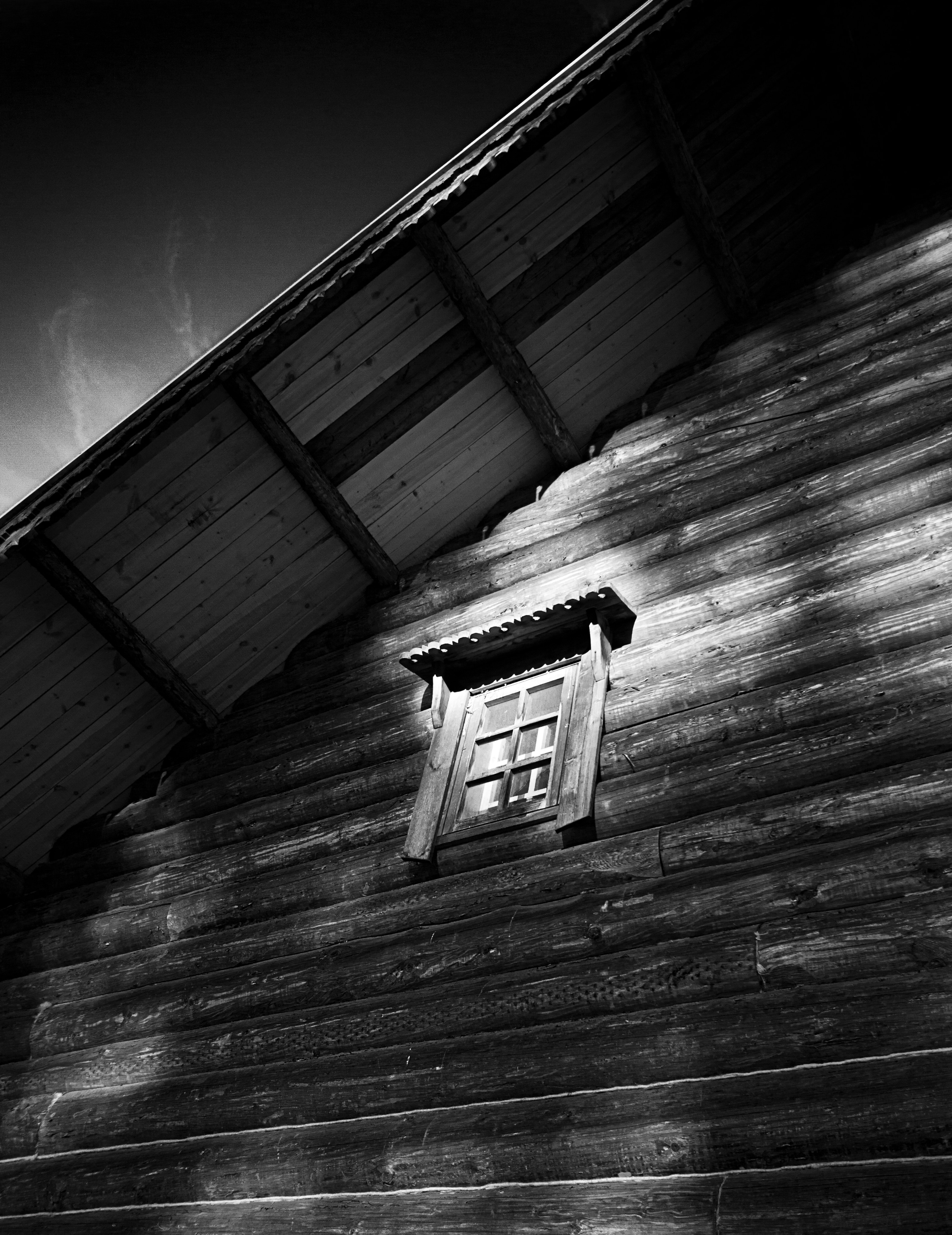 Выставка «Наблюдатель». Георгий Тришаков