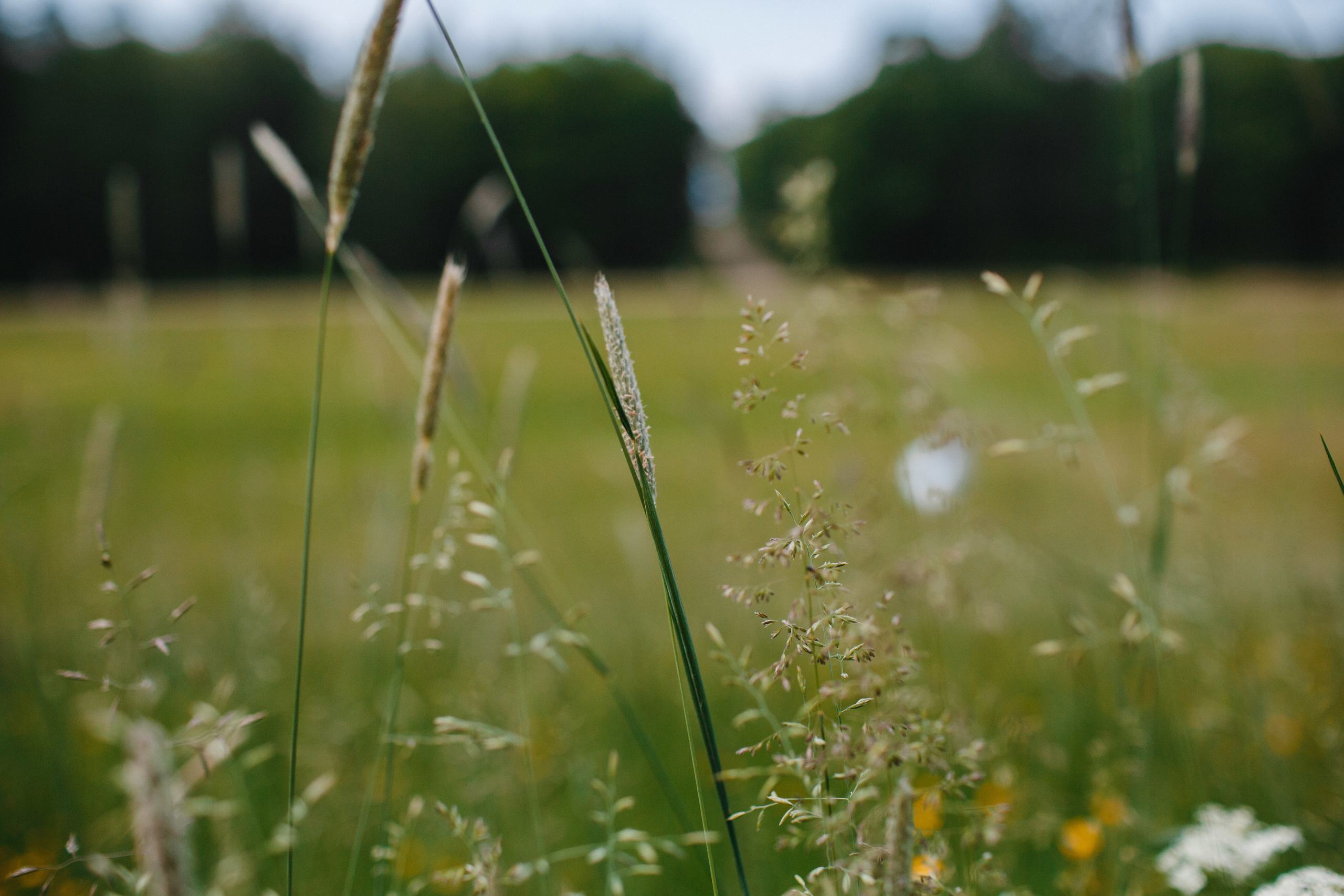 Валерий и Анна. Свадебный фотограф Юлия Шторм