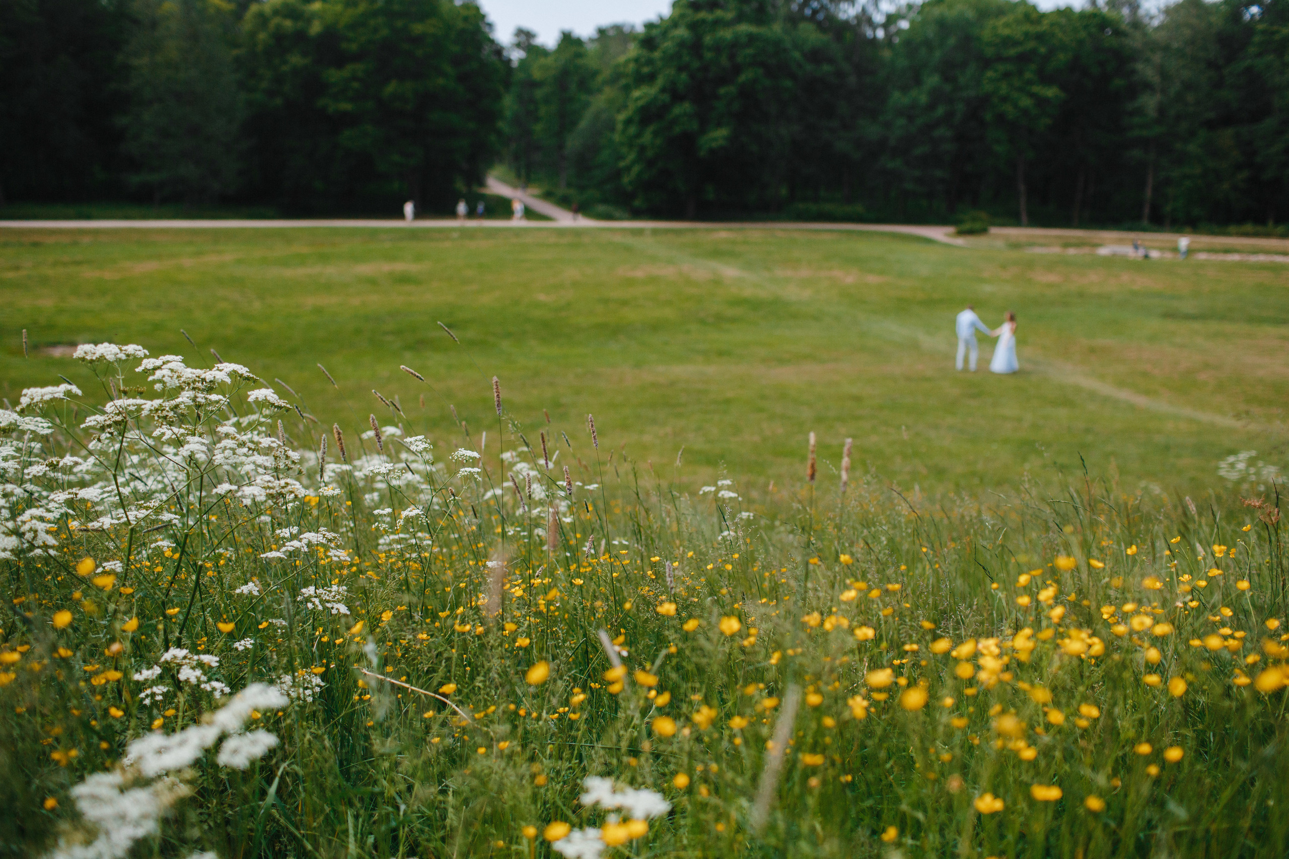 Валерий и Анна. Свадебный фотограф Юлия Шторм