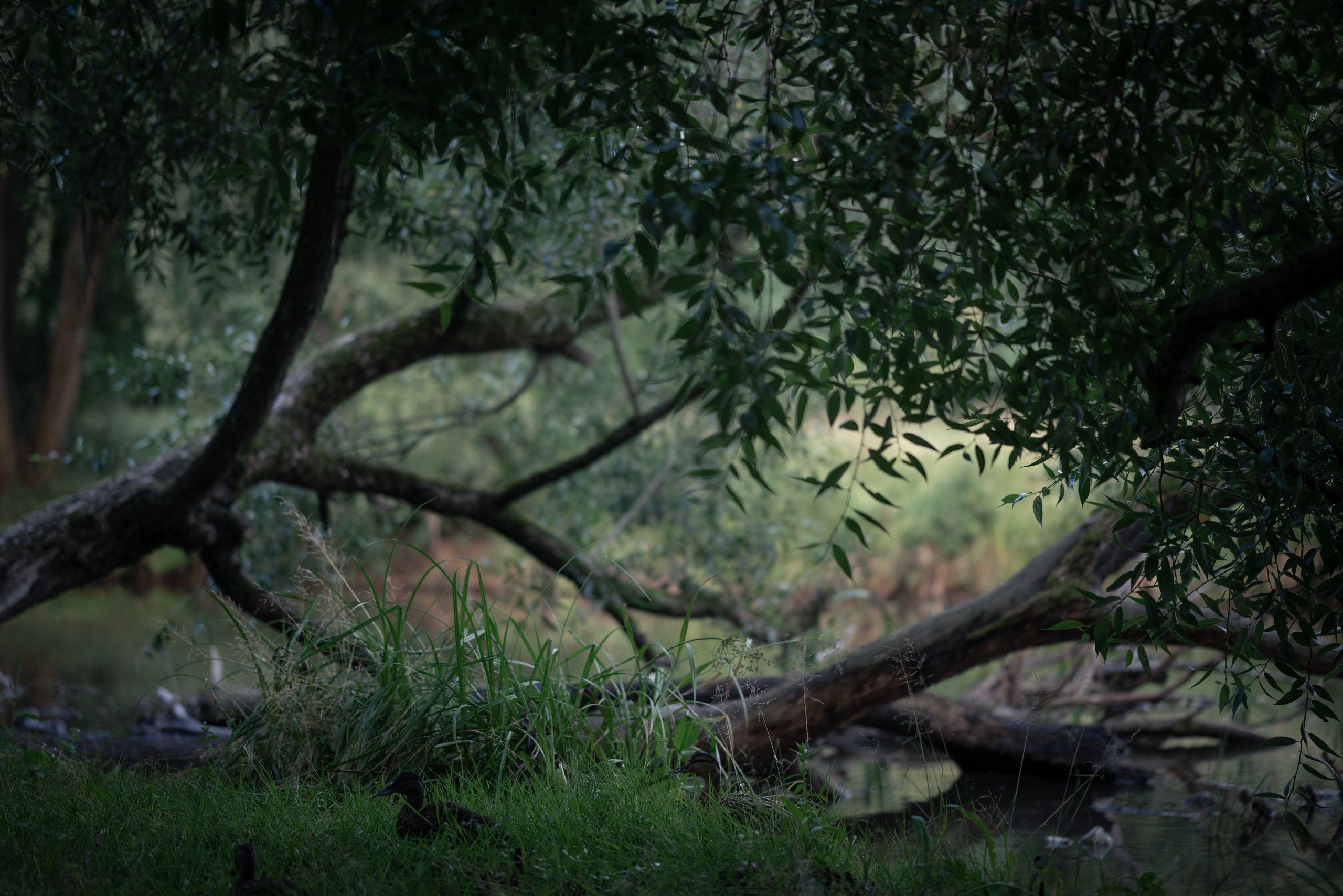 Места. Фотограф в Минске Дарья Кончакова