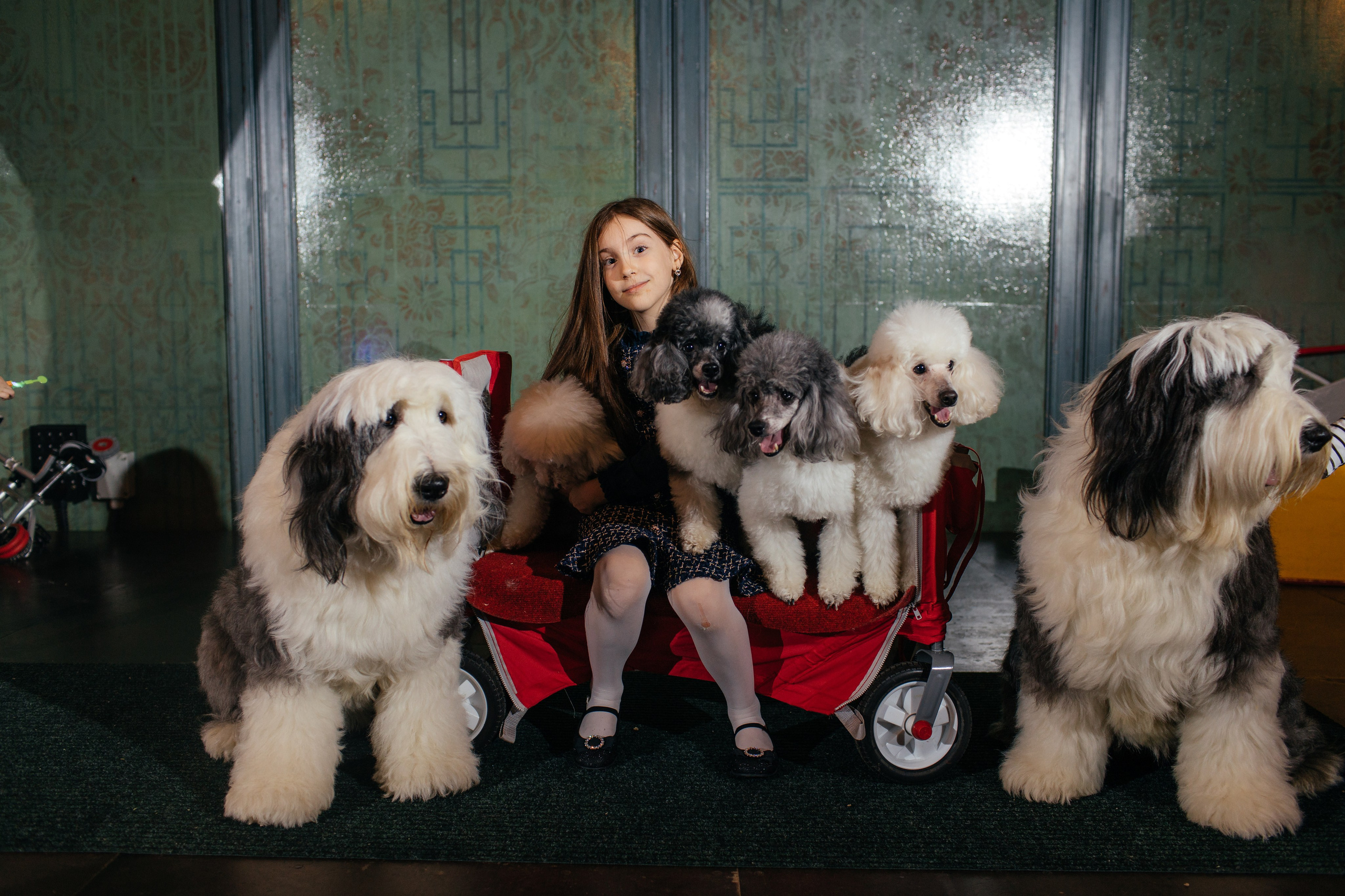 Алине 7 лет. Свадебный и семейный фотограф