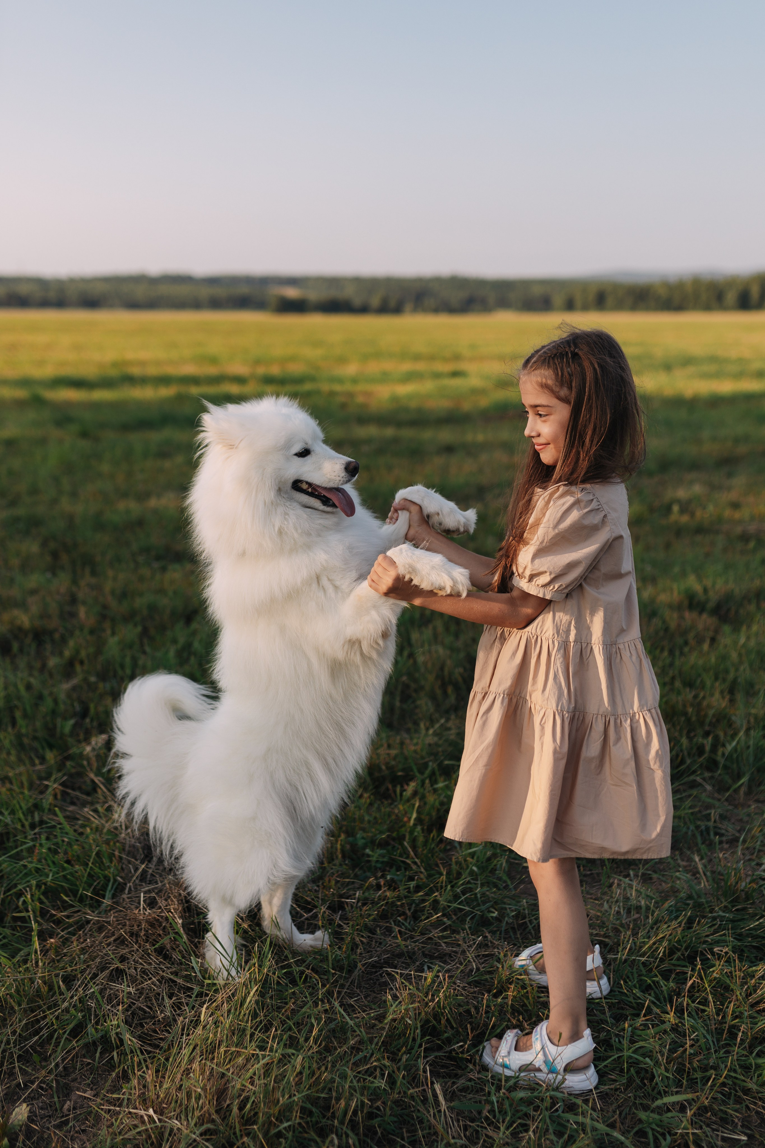 Летний вечер в поле. Семейный фотограф Альбина Крутелева, Екатеринбург, Ревда