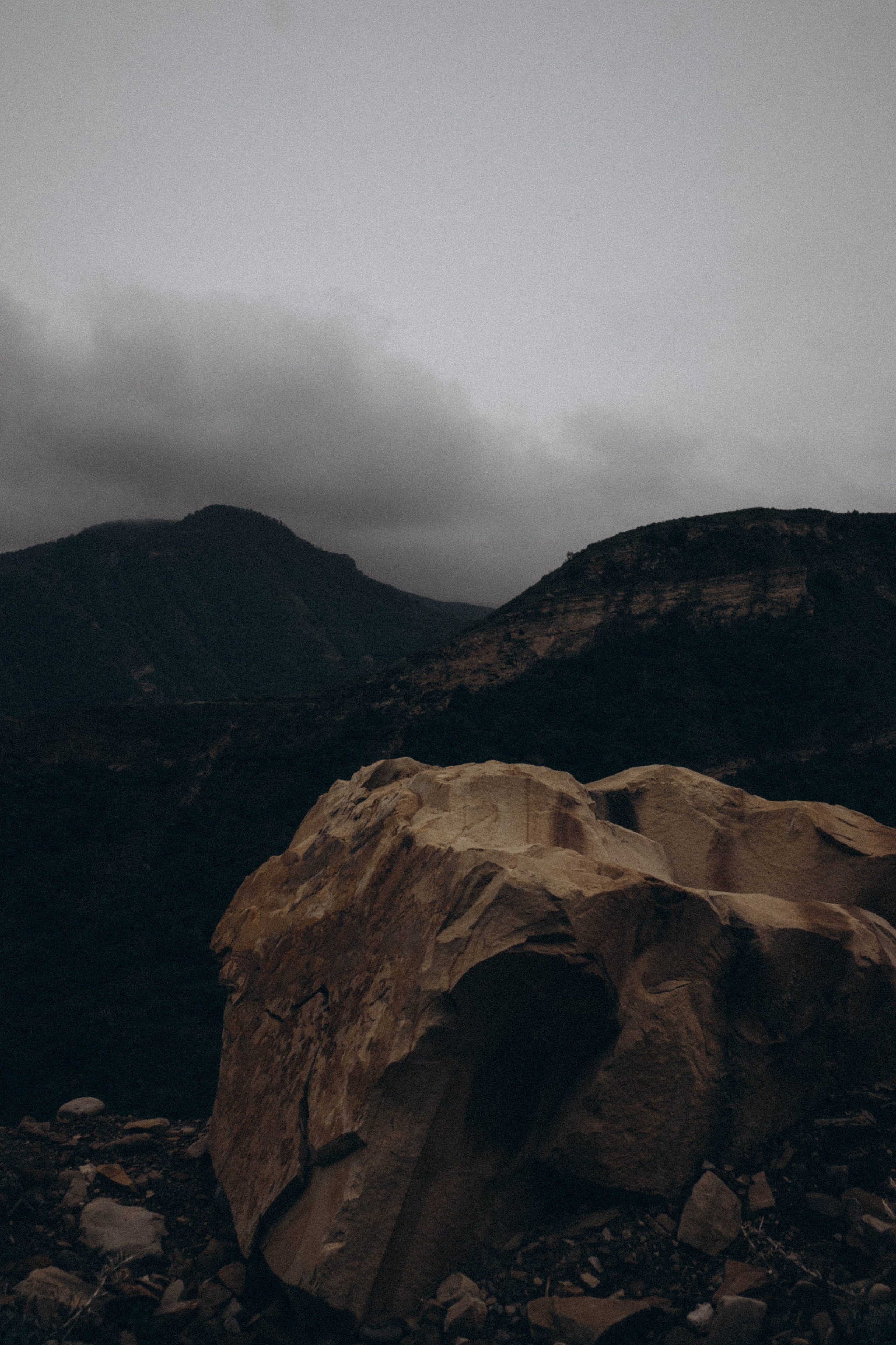 Кавказ. Профессиональный фотограф, Санкт-Петербург — Виктория Богомолова