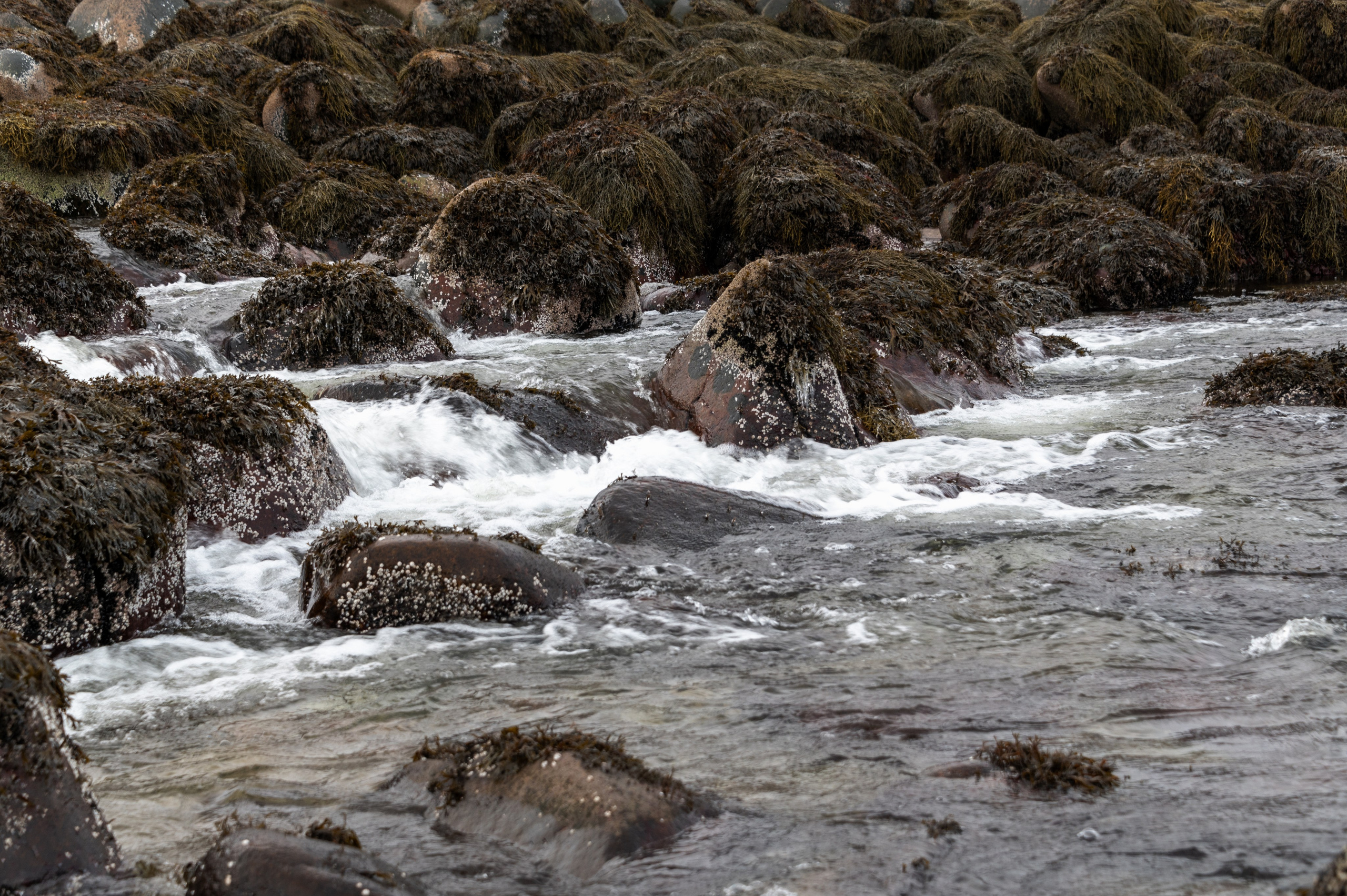 Териберка. Ноябрь 2023. Фотограф Роман Адлер