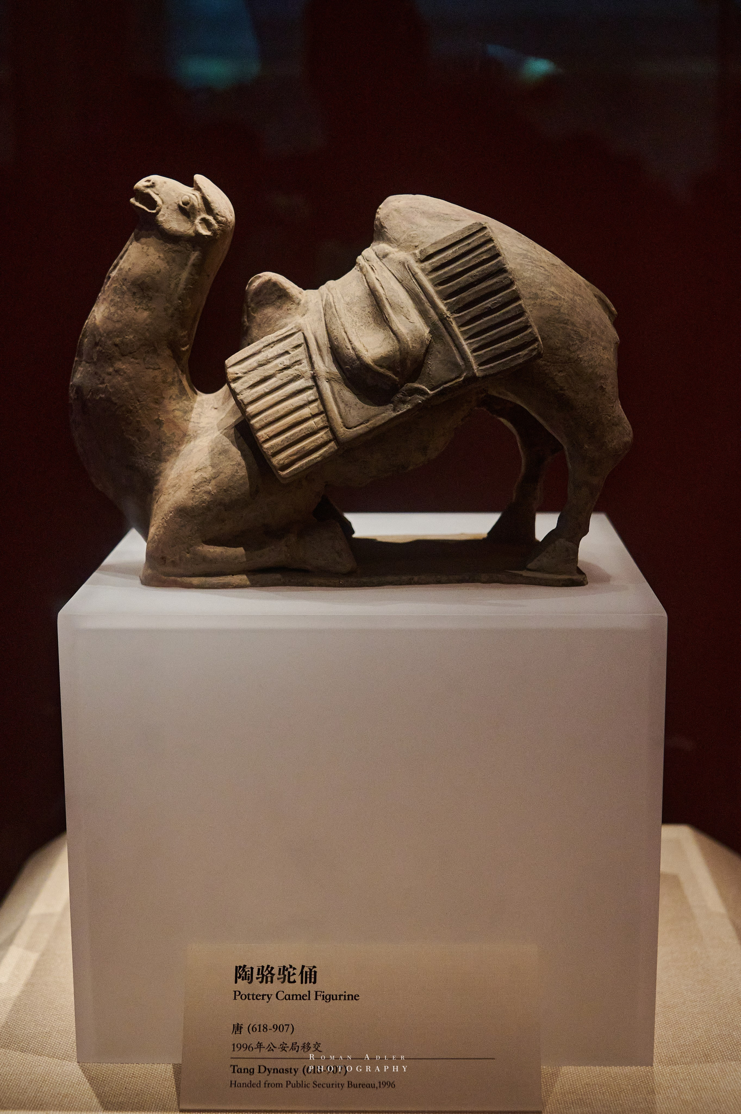 Национальный краеведческий музей Цинчжоу. Фотограф Роман Адлер