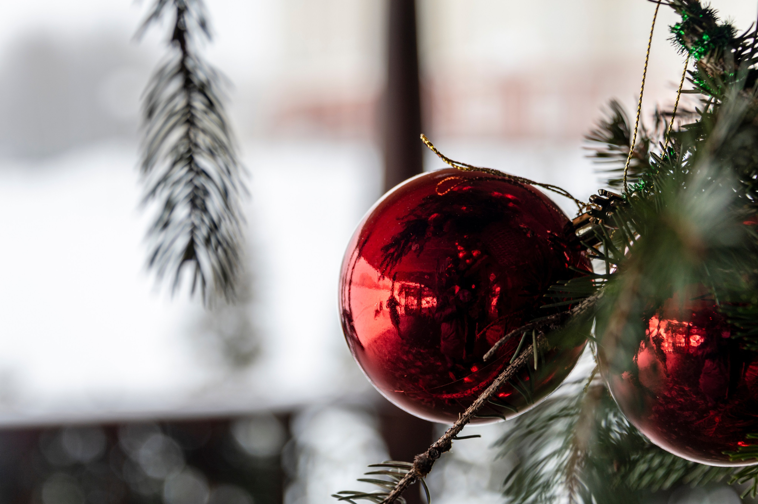 Фотографии Саранска. Уличные фото Саранска. Современный Саранск фото. Саранск фото. Фотограф Роман Адлер. Фото Саранск 2024