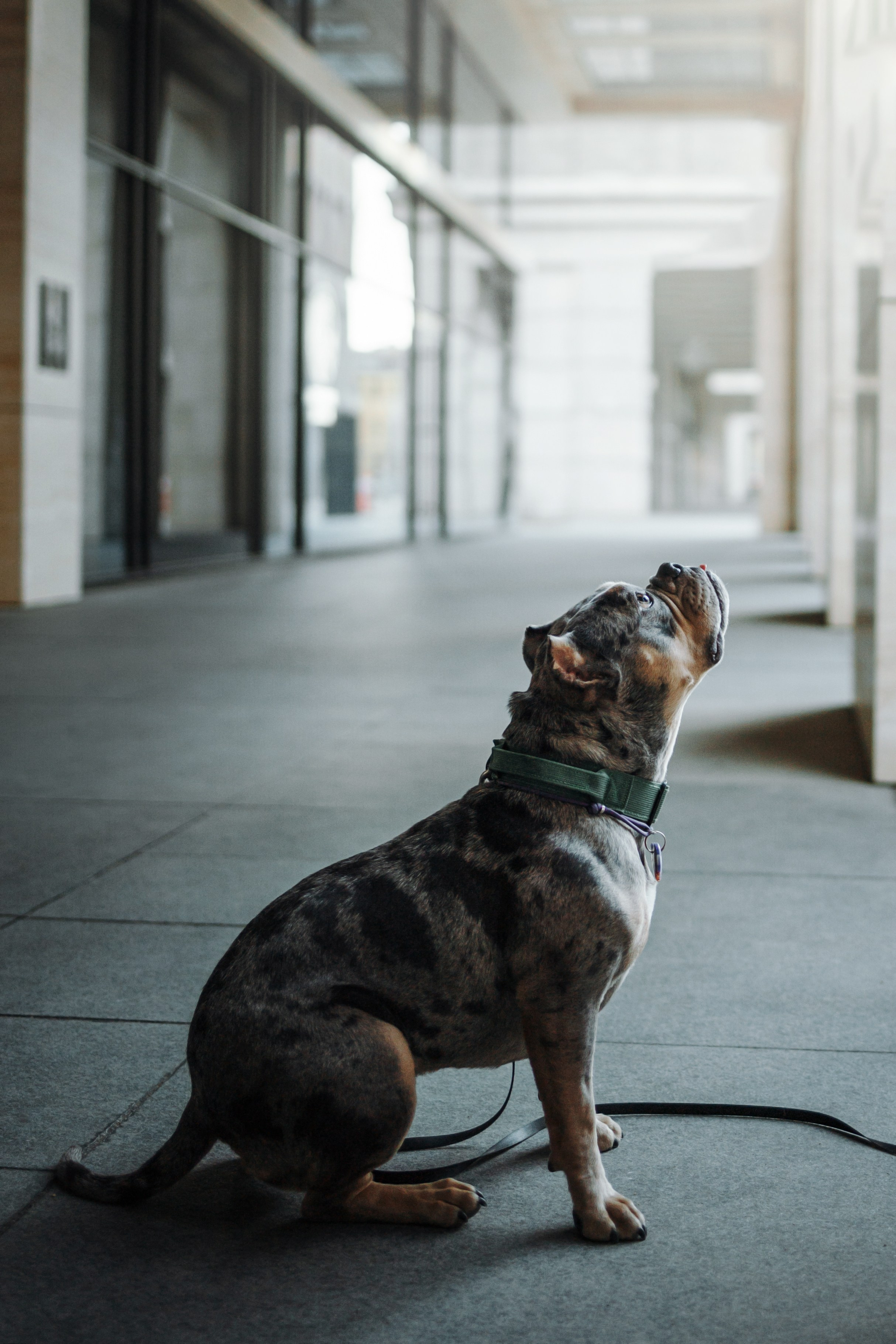 Лера и ее булочки. Фотограф — Анималист | Санкт-Петербург