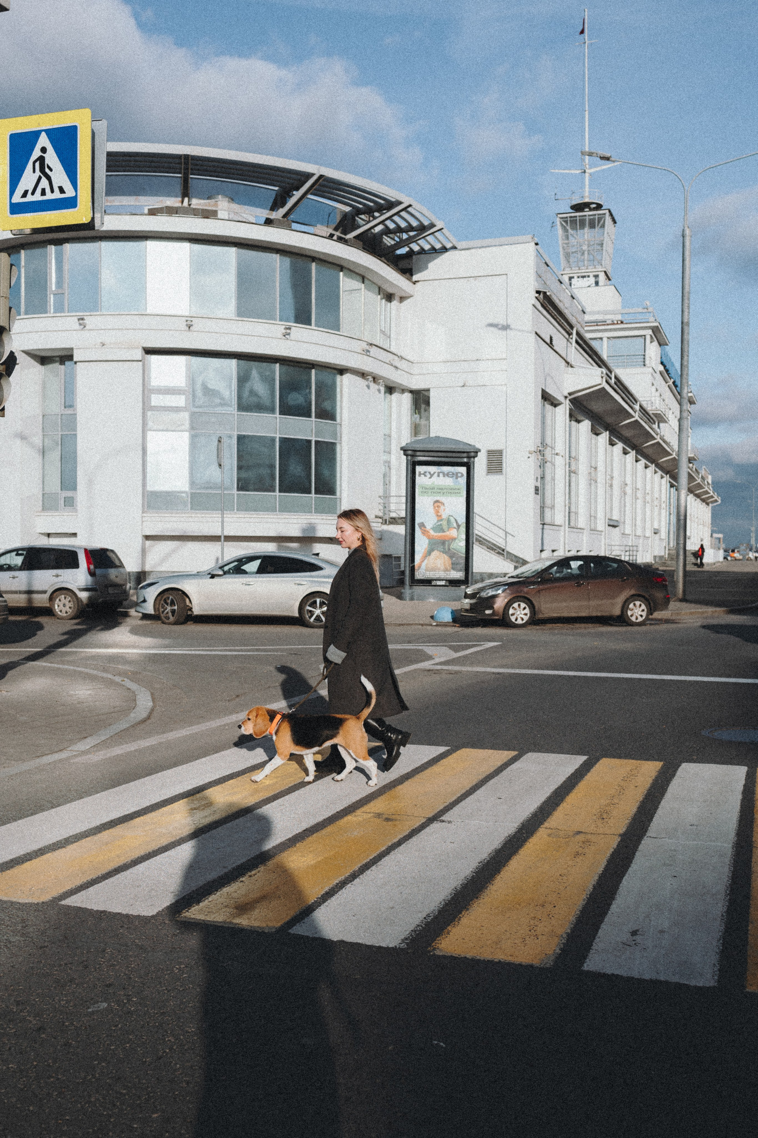 Фотограф — анималист Светлана Кысса|фотограф собак в Краснодаре и Нижнем Новгороде