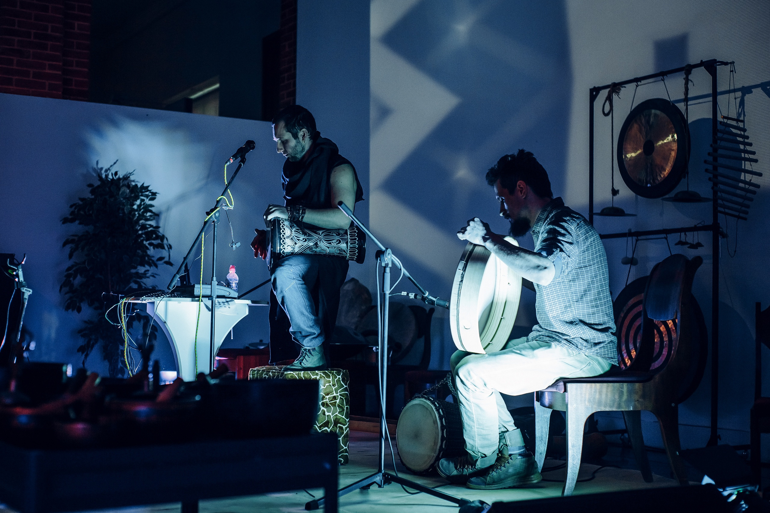 Концерты. Фотограф в Санкт-Петербурге Наталья Шеф