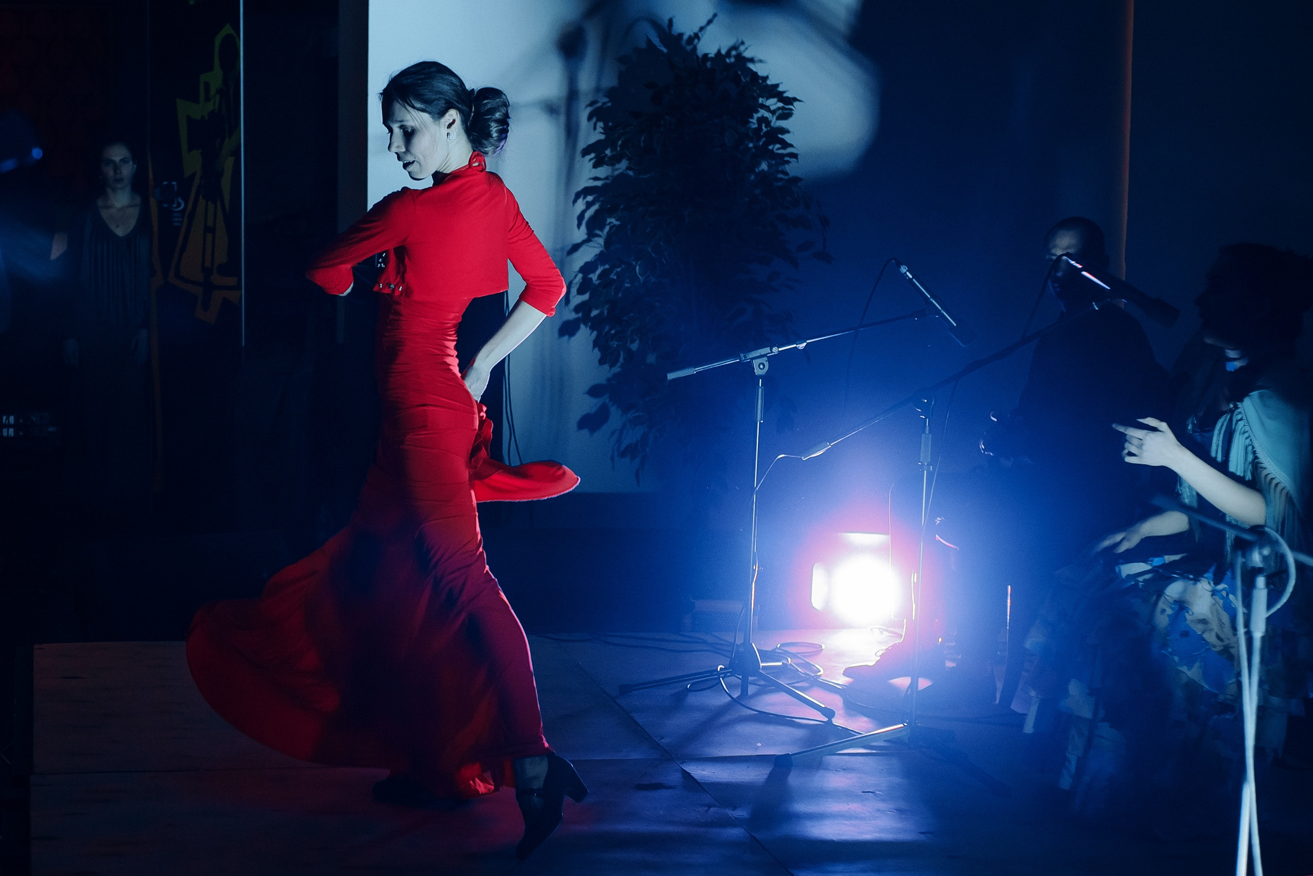 Концерты. Фотограф в Санкт-Петербурге Наталья Шеф