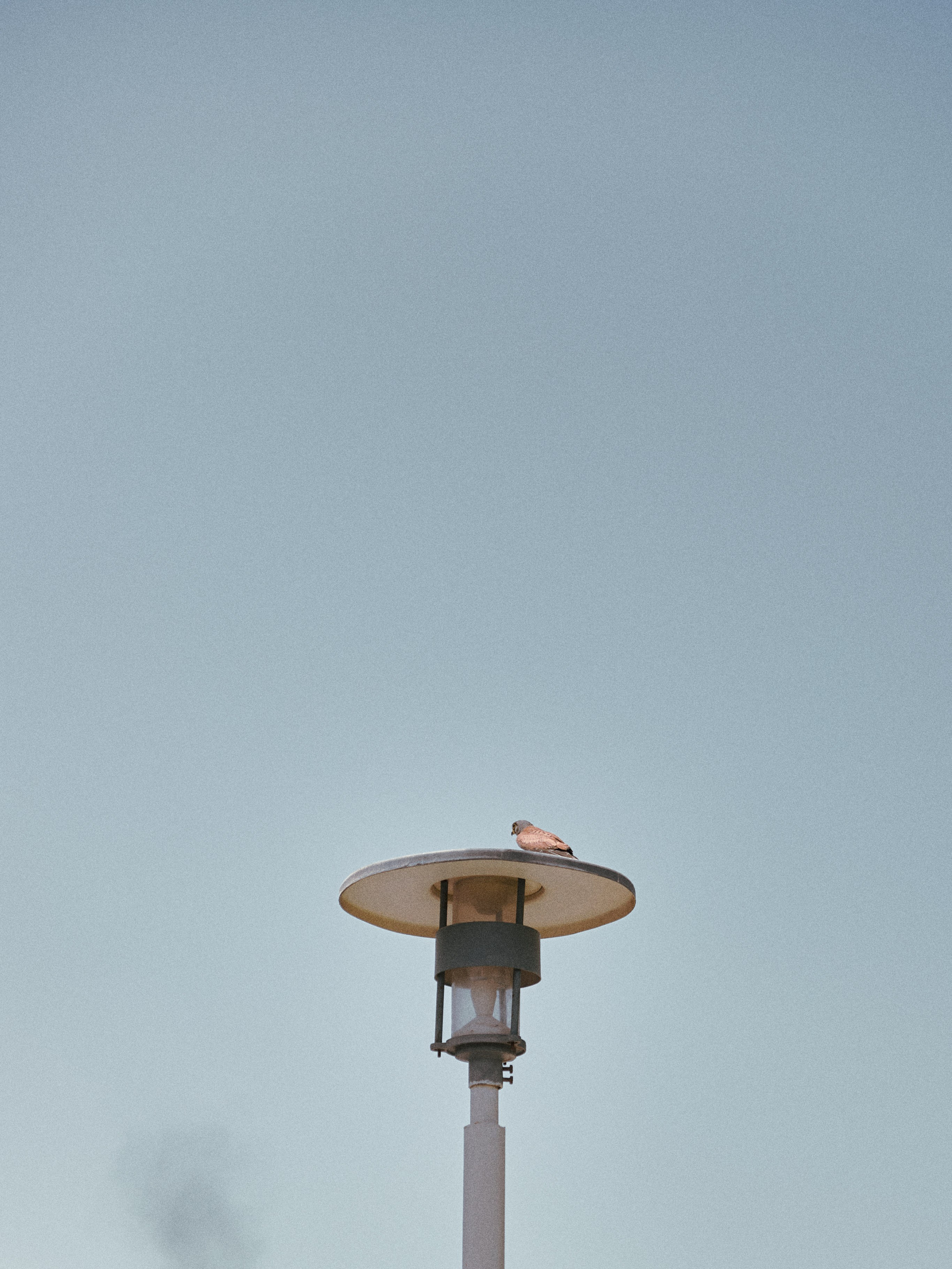 ¼. Jorgis Talè — photographer, kind person, teacher of arts and other mag