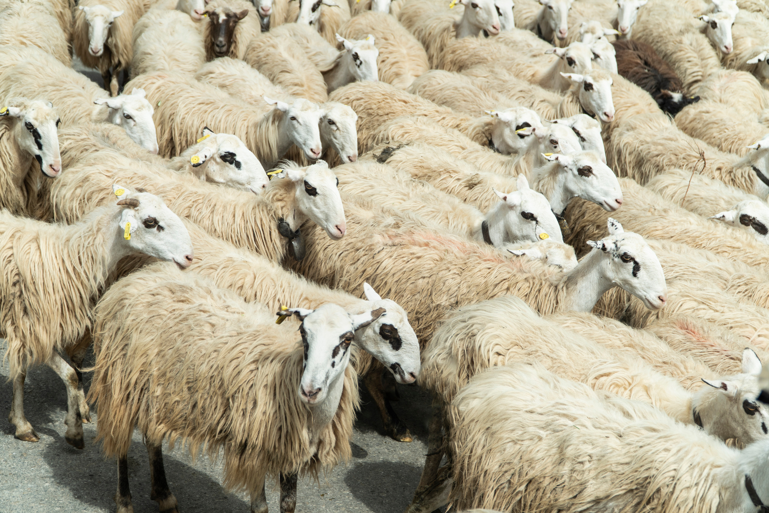 TRAVEL & LANDSCAPES. Photographer Phuket