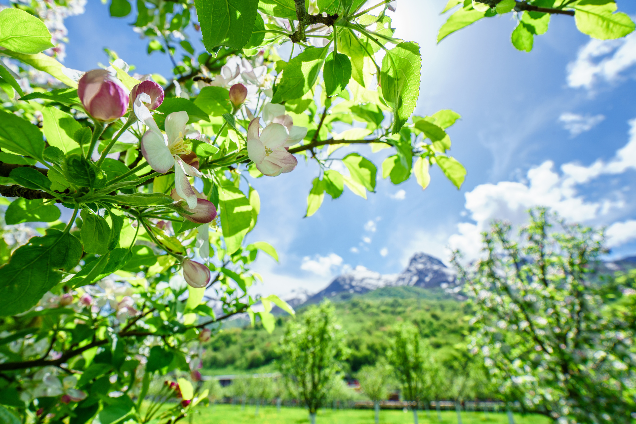 TRAVEL & LANDSCAPES. Photographer Phuket