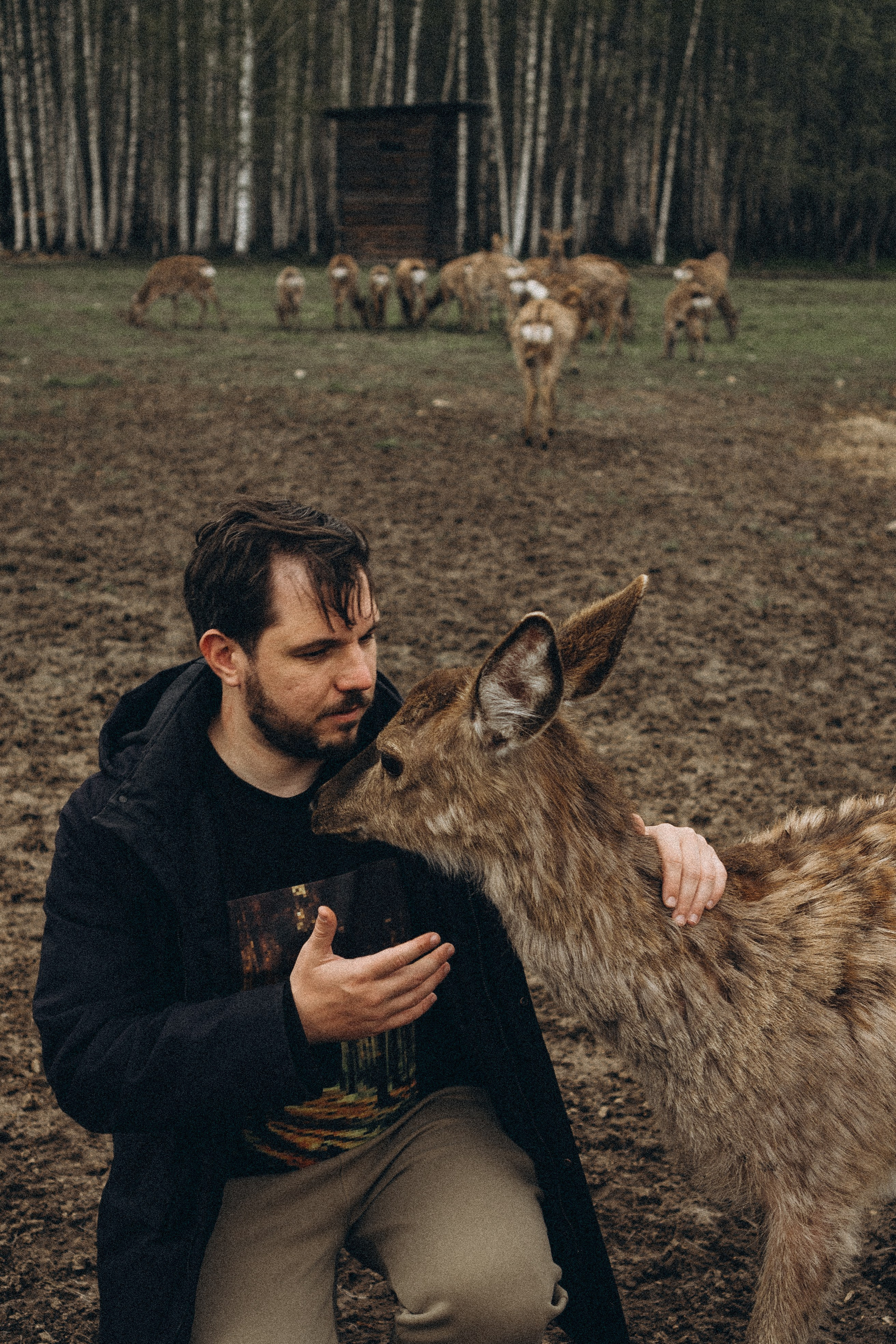 ОЛЕНЬЯ ФЕРМА В ТВЕРИ. Профессиональный фотограф, Санкт-Петербург — Виктория Богомолова
