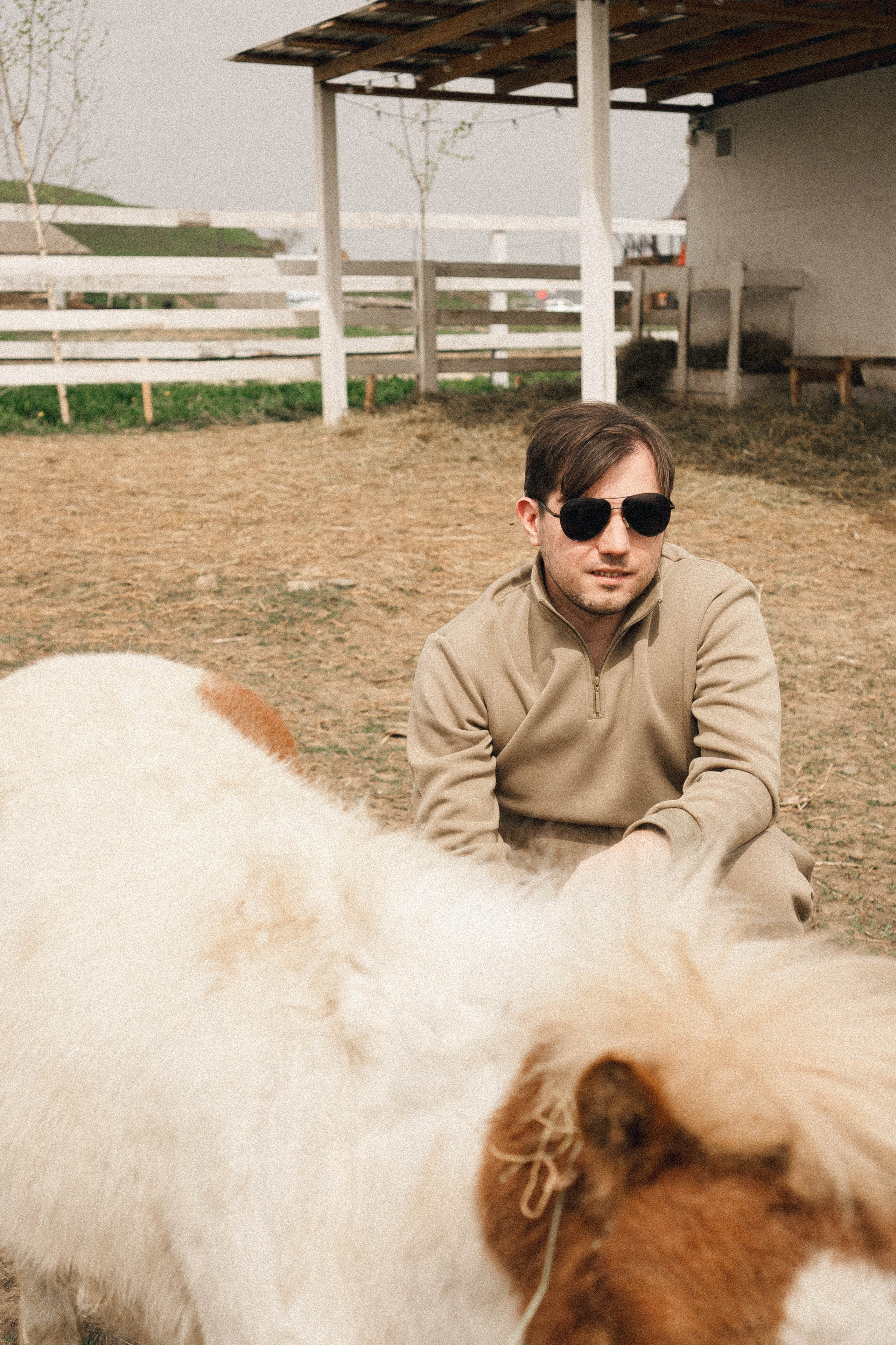 Ферма Альпак. Профессиональный фотограф, Санкт-Петербург — Виктория Богомолова