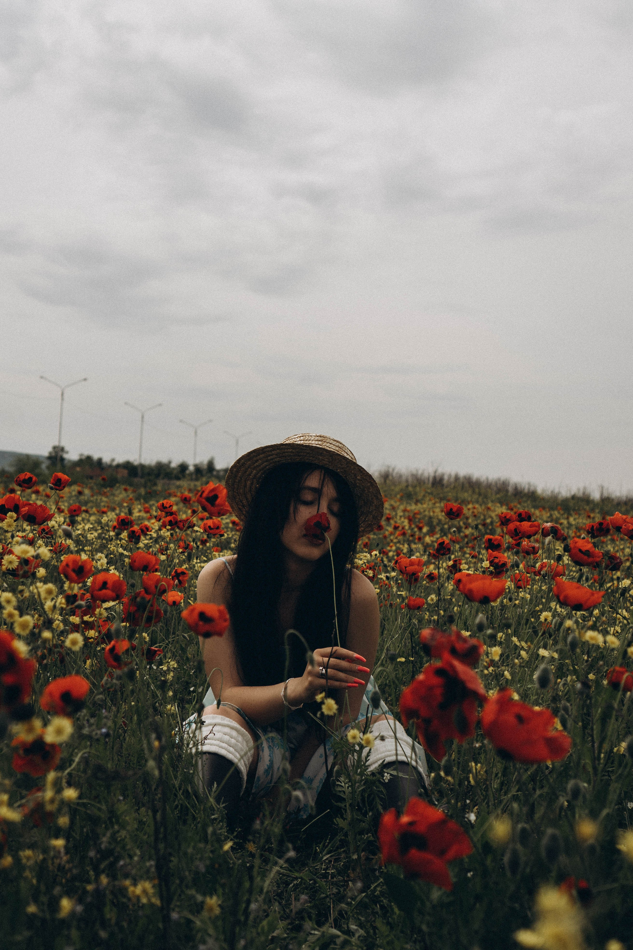 Цветочная поляна. Профессиональный фотограф, Санкт-Петербург — Виктория Богомолова