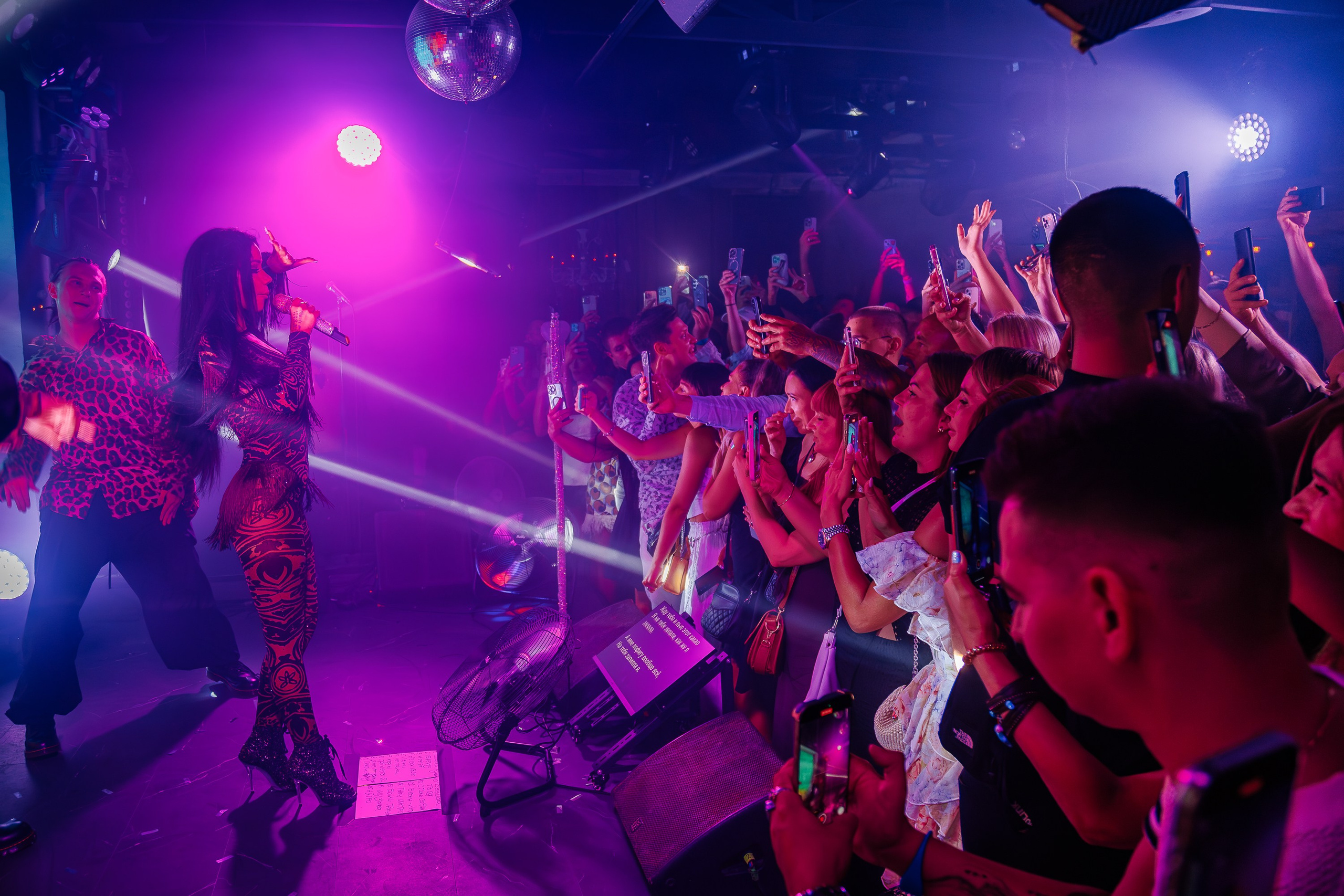 «Бьянка"_Чайка на пляже_Ялта_25.07.2025 г. Аминов Руслан | Фотограф