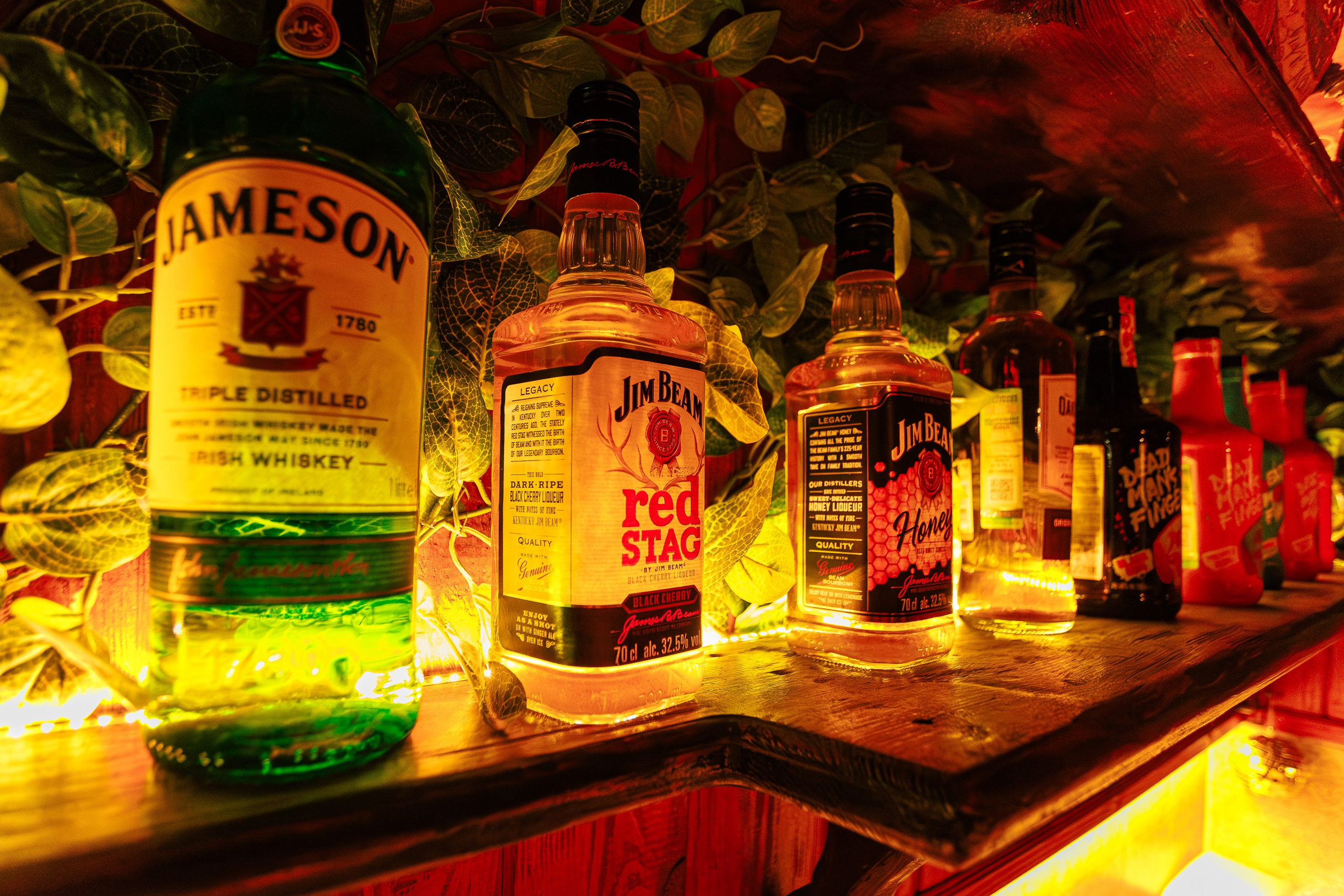 «Dj Nikitich"_Tortuga_Симферополь_15.03.2025. Аминов Руслан | Фотограф