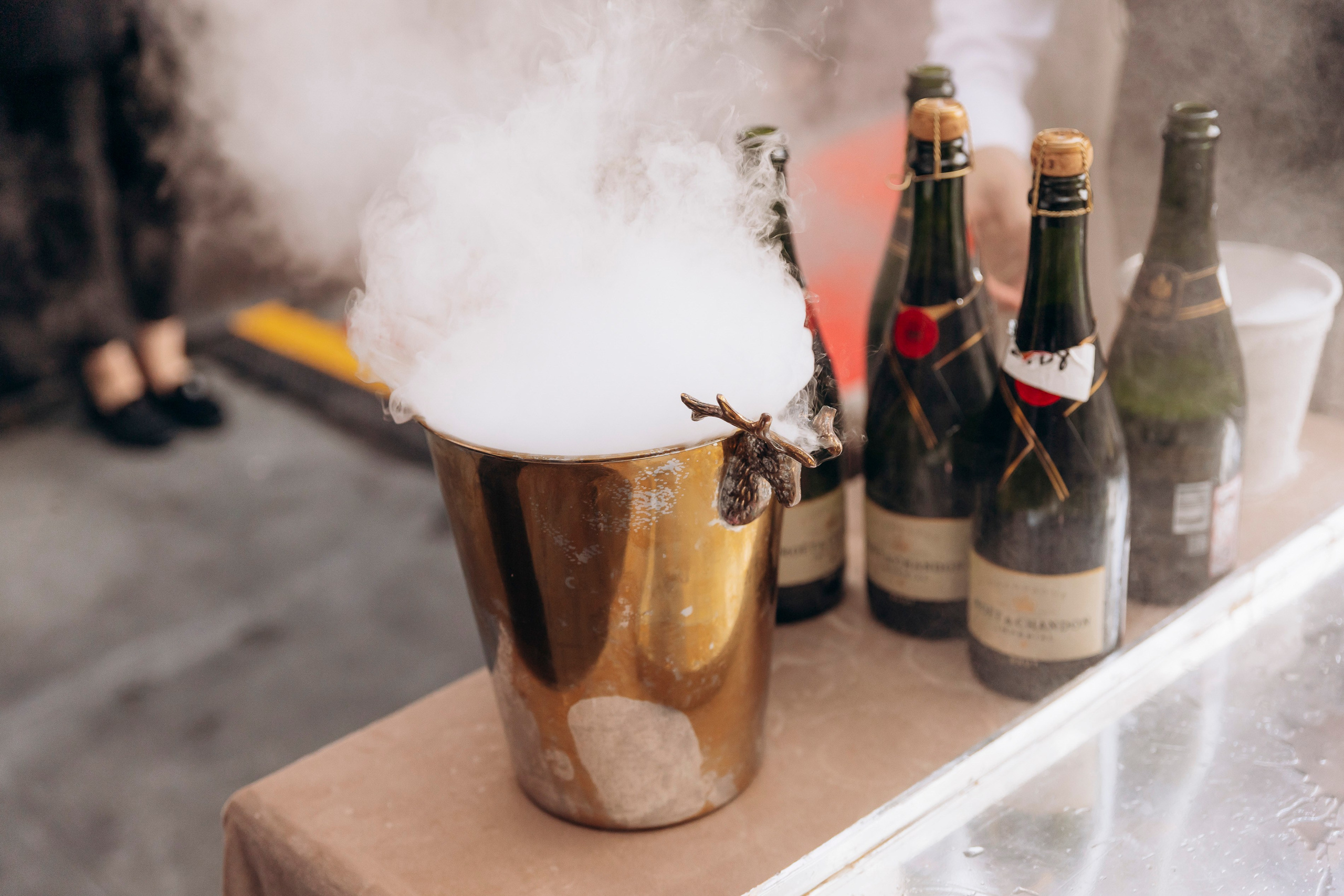 Открытие отеля Royal Lions Grand Hotel 15 сентября 2024. Фотограф в Калининграде свадебная фотография, репортажная, фотосессии