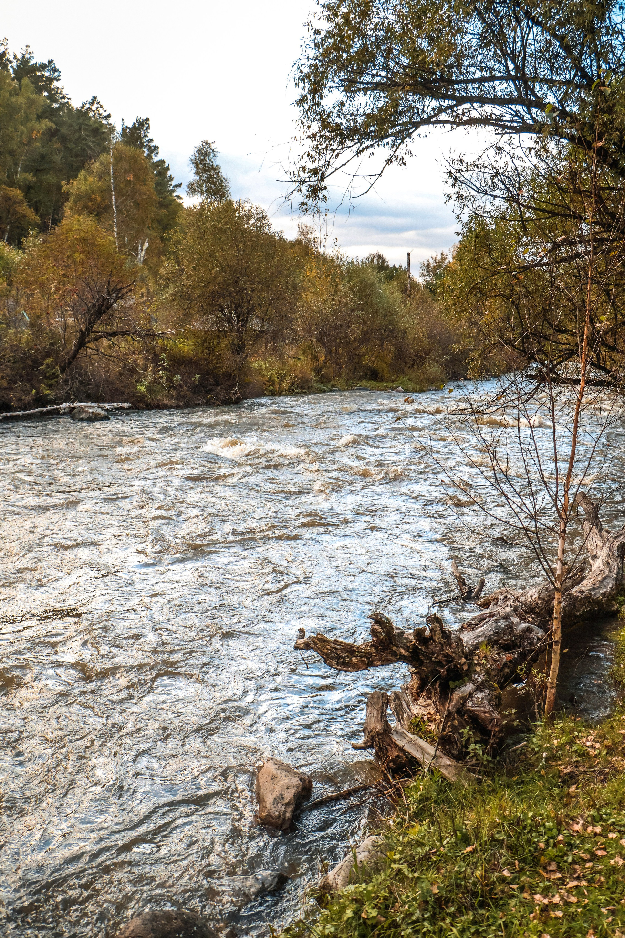 «Территория счастья» база отдыха, респ. Алтай. Контент фотограф Дмитрий Борисов
